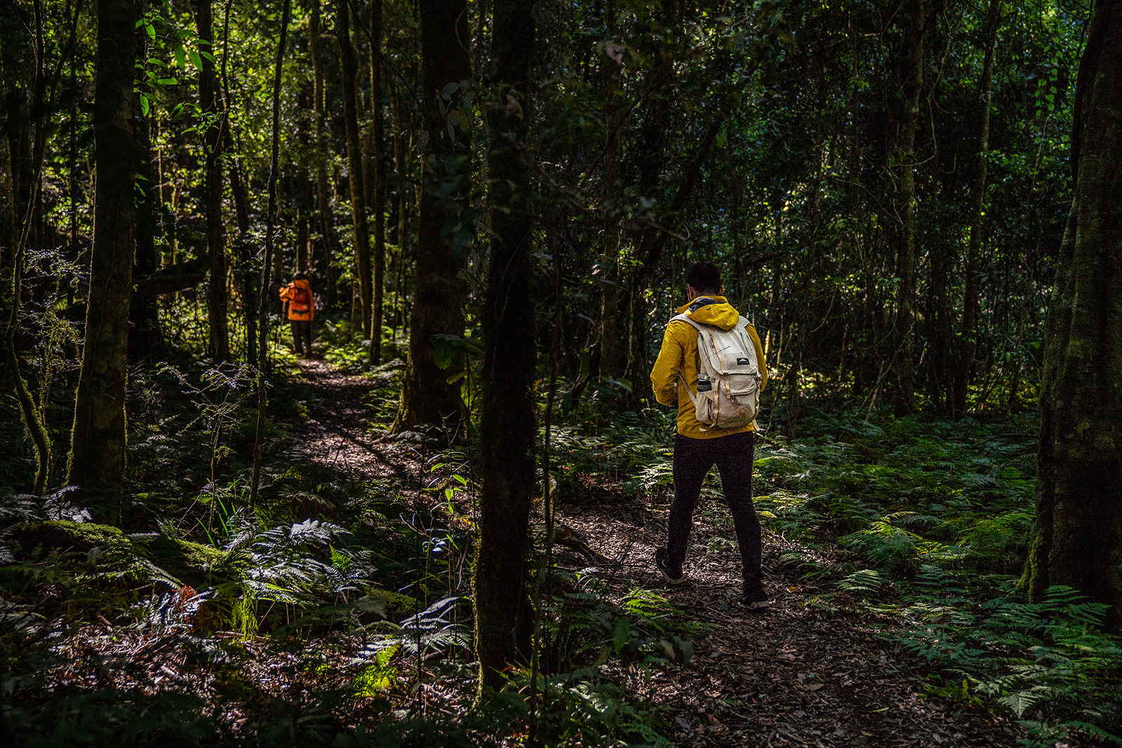 What’s the best hike for you?