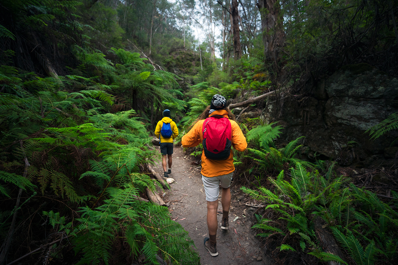 Two people walking in Wollemi National Park. Photo credit: Daniel Tran/DPIE
