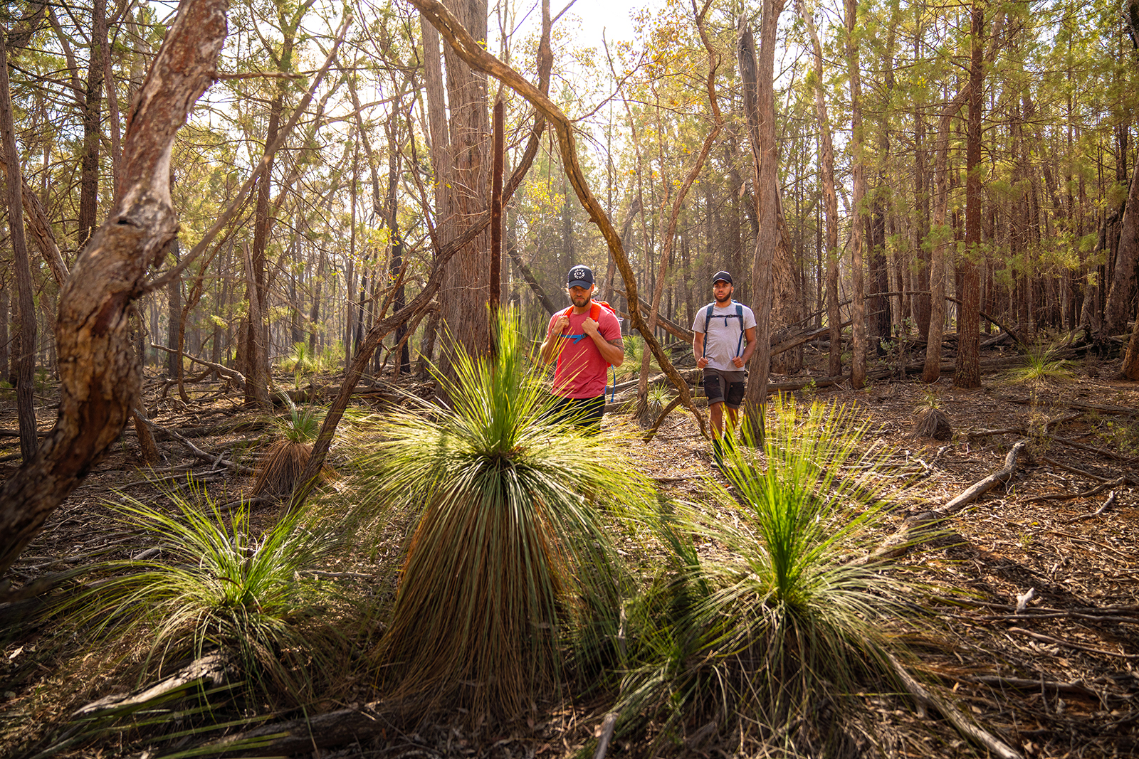 Two men walk through woodland past grass trees on Livingstone loop track, Livingstone National Park. Photo credit: Rob Mulally/DPIE