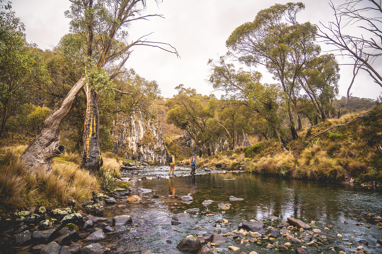 Two guys crossing the gorge on Clarke Gorge walking track, High Plains area in Kosciuszko National Park. Photo credit: Rob Mulally/DPIE