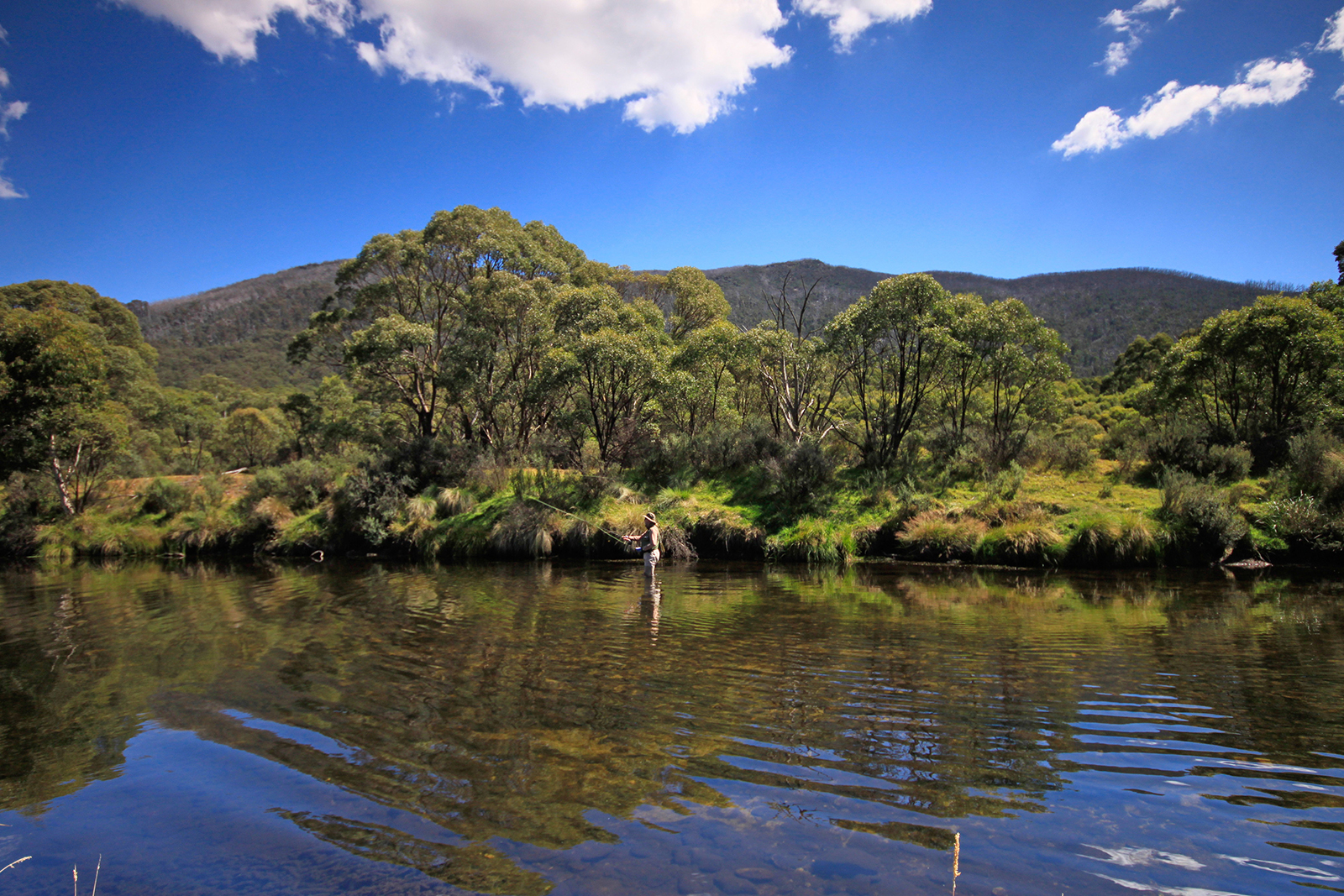 Thredbo Diggings campground, Thredbo-Perisher area in Kosciuszko National Park. Photo: Elinor Sheargold/DPIE