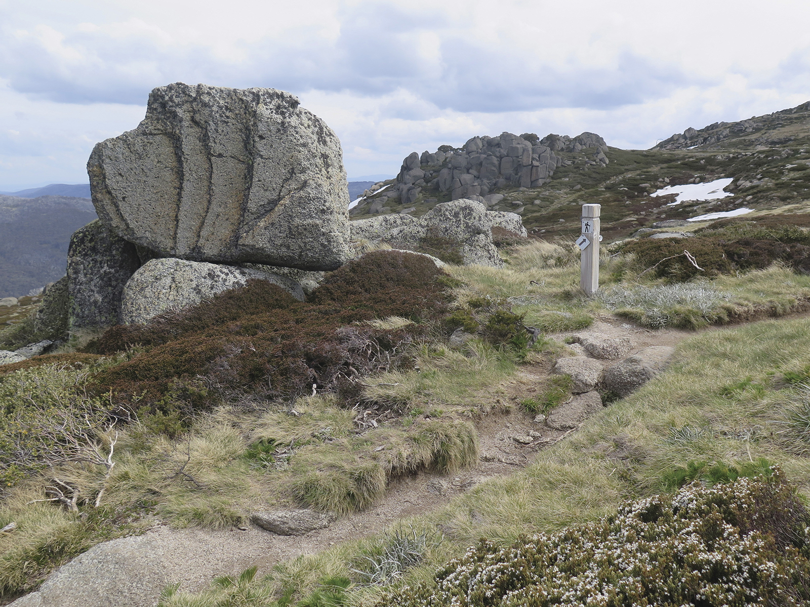 Dead Horse Gap walking track, Ramshead Range, Thredbo-Perisher area in Kosciuszko National Park. Photo: Elinor Sheargold/DPIE