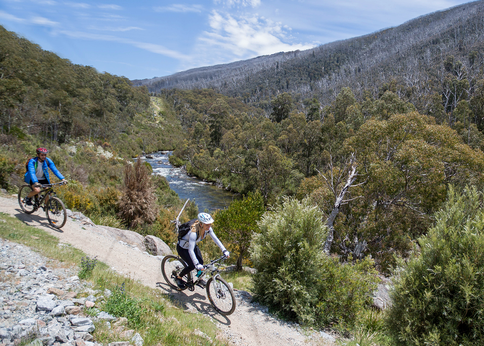 Two people riding on the Thredbo Valley track, Thredbo-Perisher area in Kosciuszko National Park. Photo credit: Boen Ferguson/DPIE