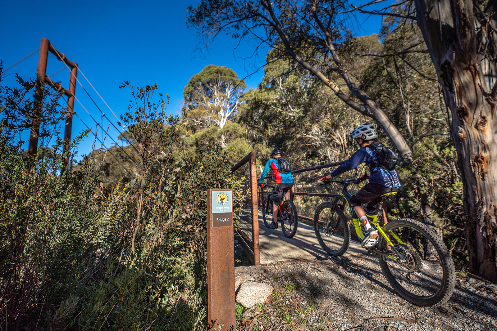Two people riding on the Thredbo Valley track, Thredbo-Perisher area in Kosciuszko National Park. Photo credit: Rob Mulally/DPIE