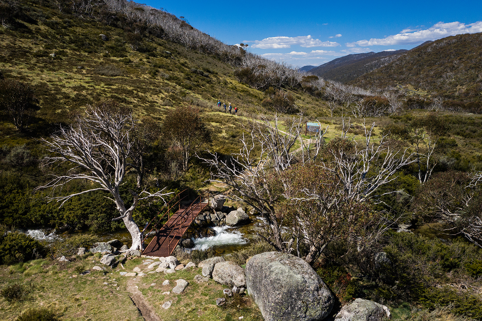 Four people walking up Dead Horse Gap walking track, Thredbo-Perisher area in Kosciuszko National Park. Phot credit : Rob Mulally/DPIE