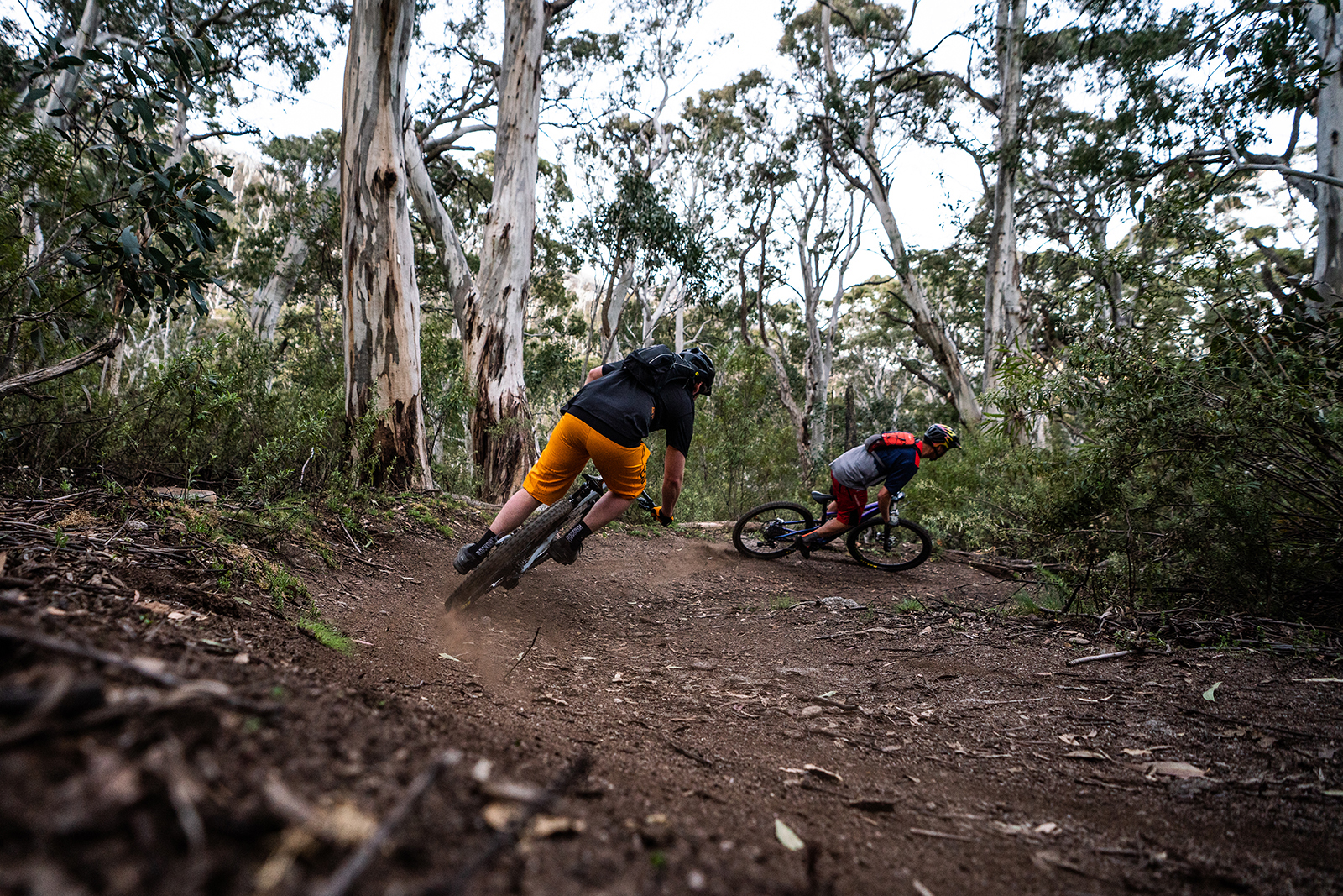 Two people tackling switchbacks between Ngarigo and Thredbo Diggings campground on the Thredbo Valley track. Photo credit: Rob Mulally/DPIE
