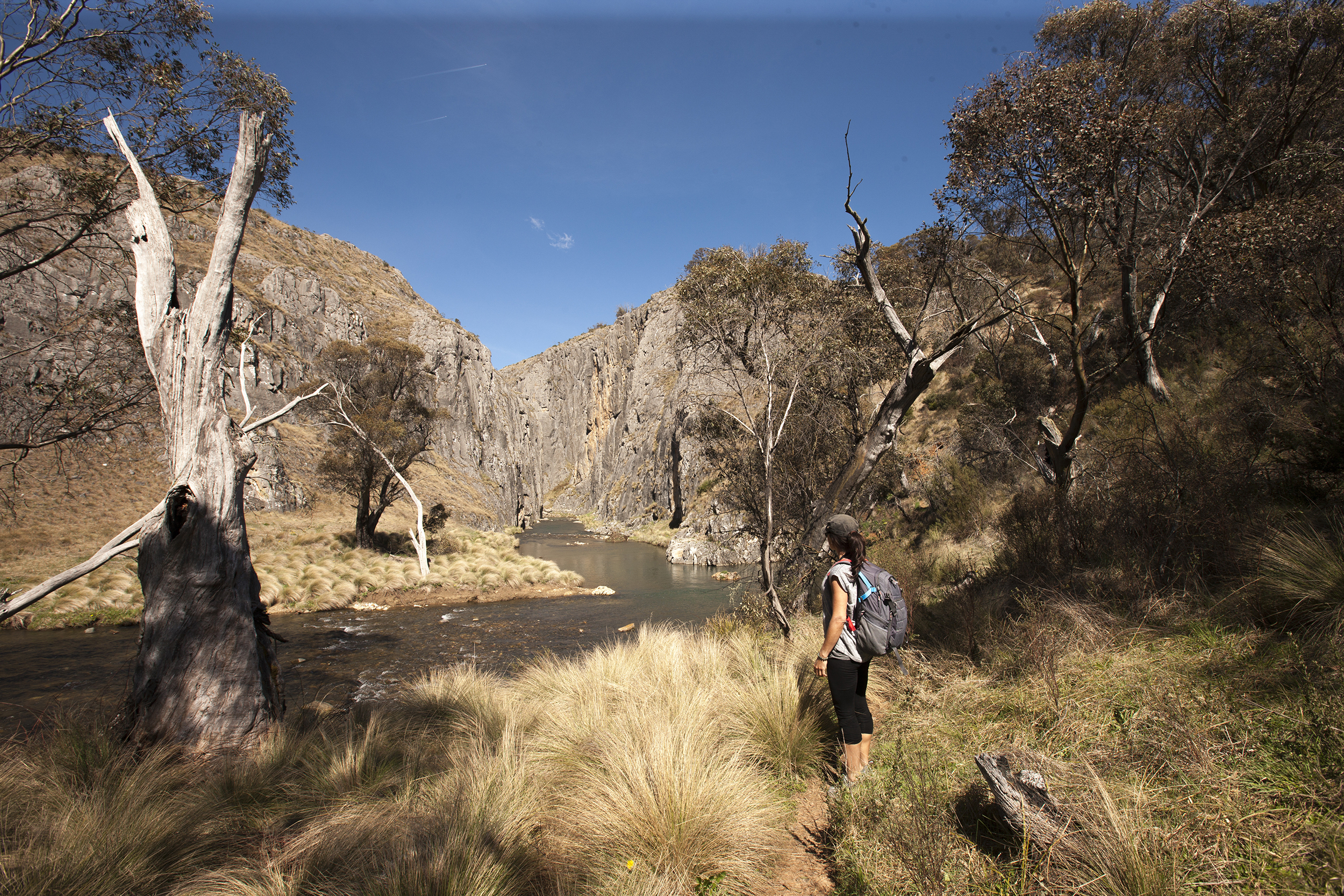 A person walking the Clarke Gorge walking track. Photo Credit: Murray Vanderveer/DPIE