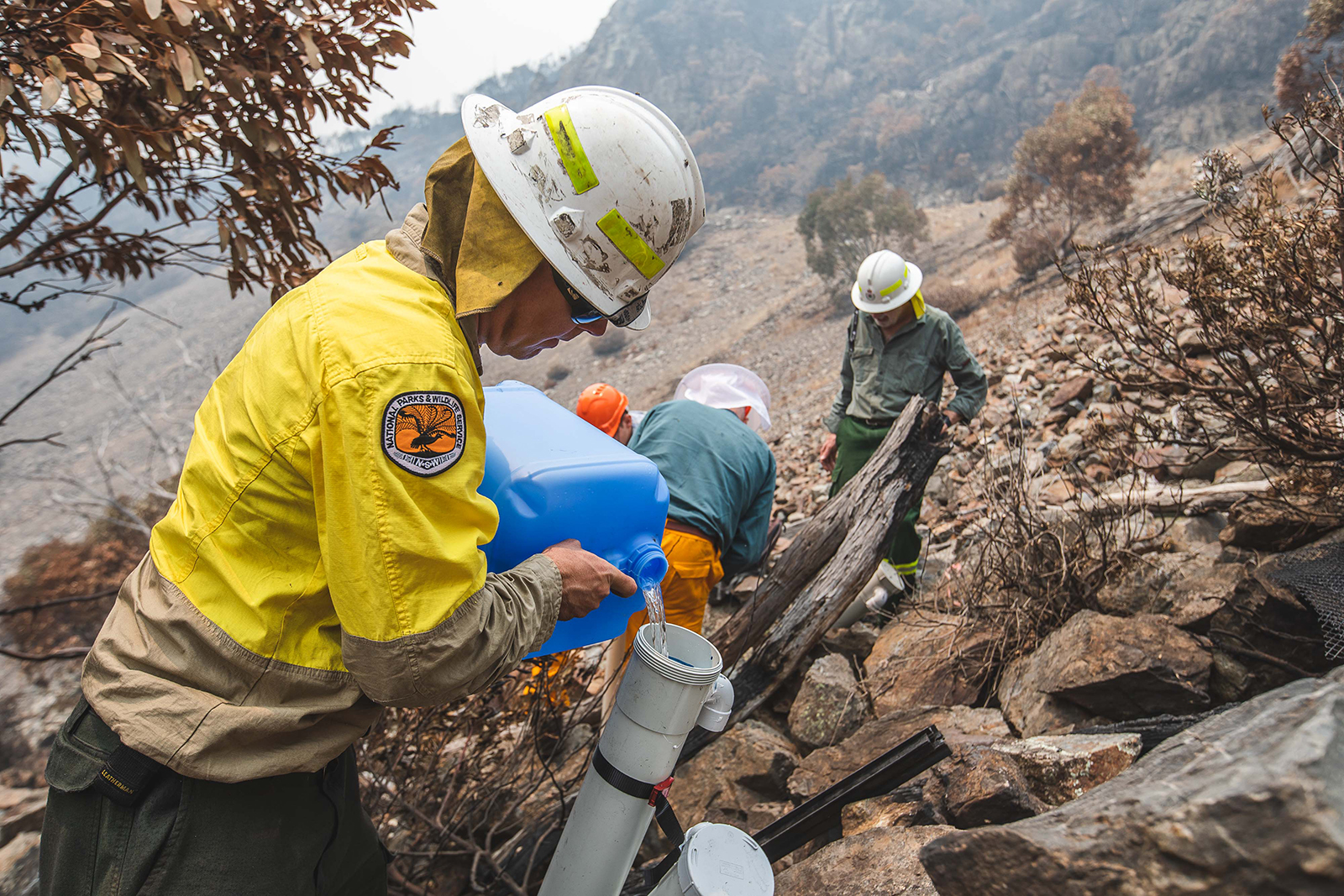 A NSW National Parks and Wildlife Service staff member tops up a mountain pygmy-possum water station in Kosciuszko National Park. Photo: Alex Pike/DCCEEW © DCCEEW 
