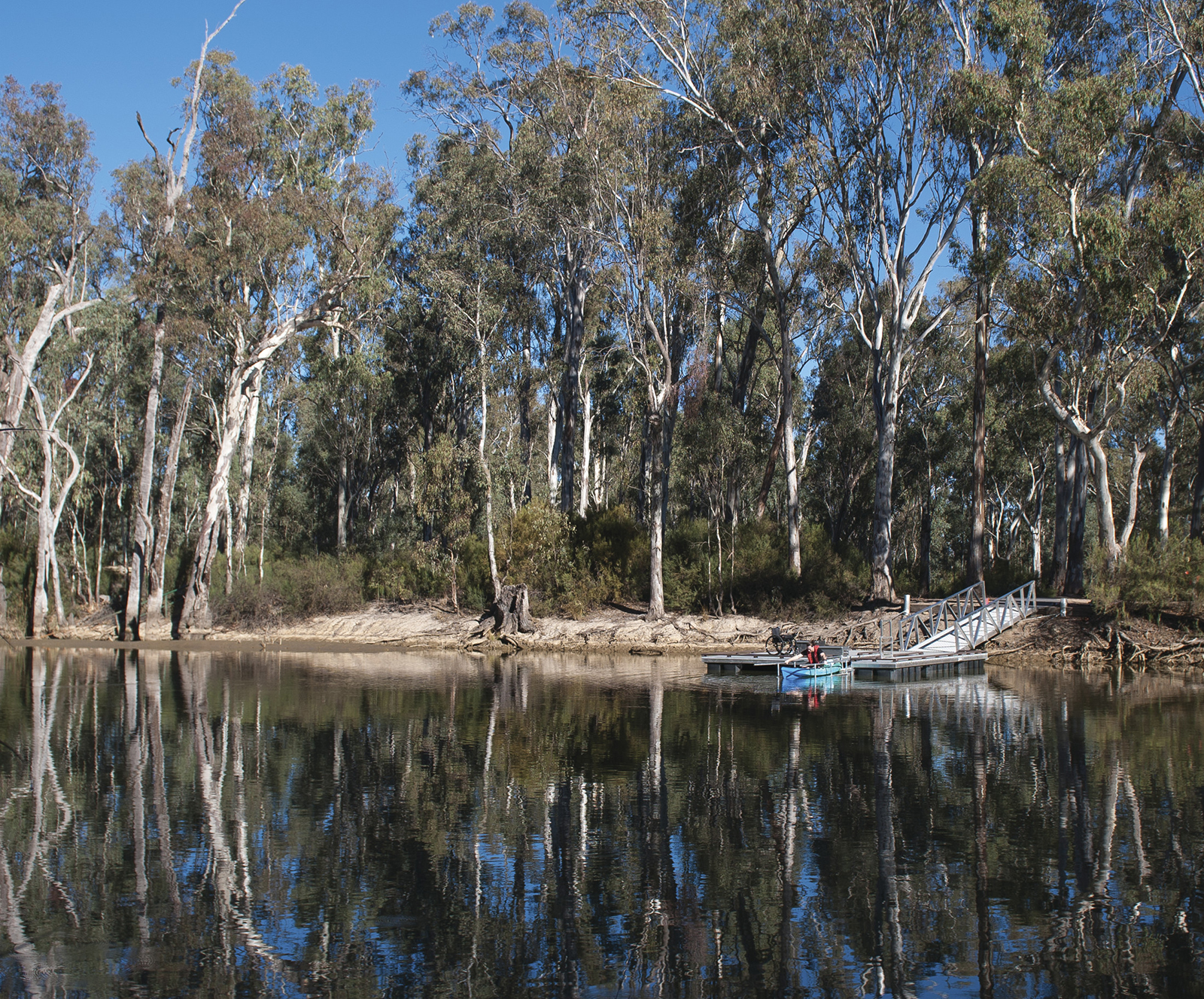A man kayaking from the Edward River Bridge kayak launch, Murray Valley Regional Park. Photo credit: Rhys Leslie/DPIE