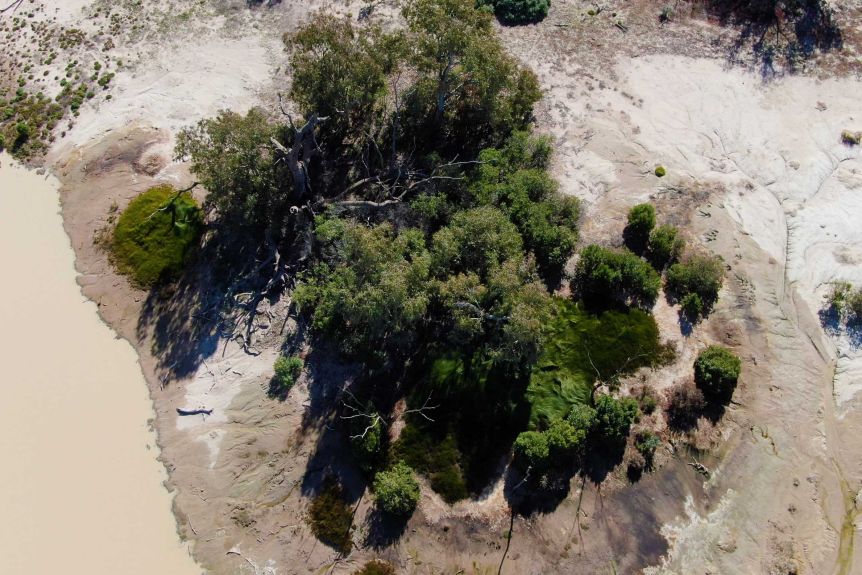 Aerial of Peery Lake mound springs, Paroo-Darling National Park. Photo: ABC Broken Hill: Aimee Volkofsky