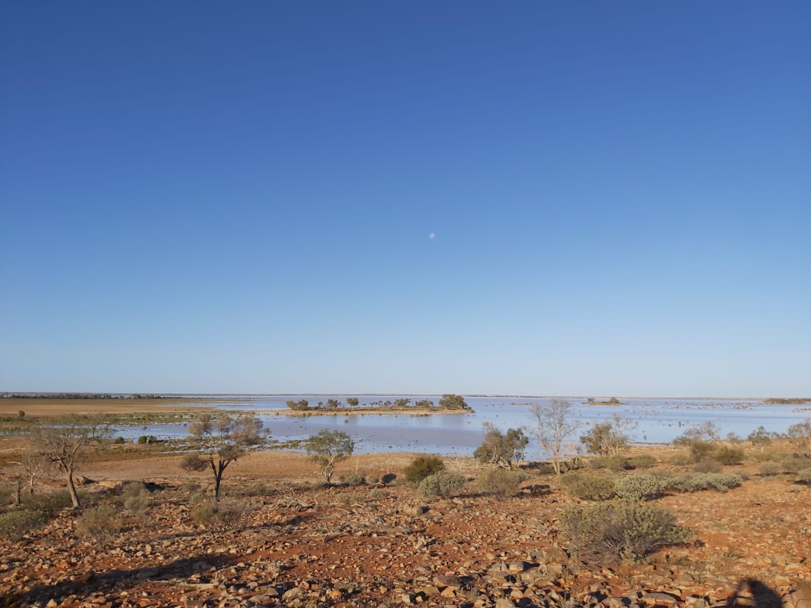 Peery Lake with water in Paroo-Darling National Park. Photo: © Johlene Shalders