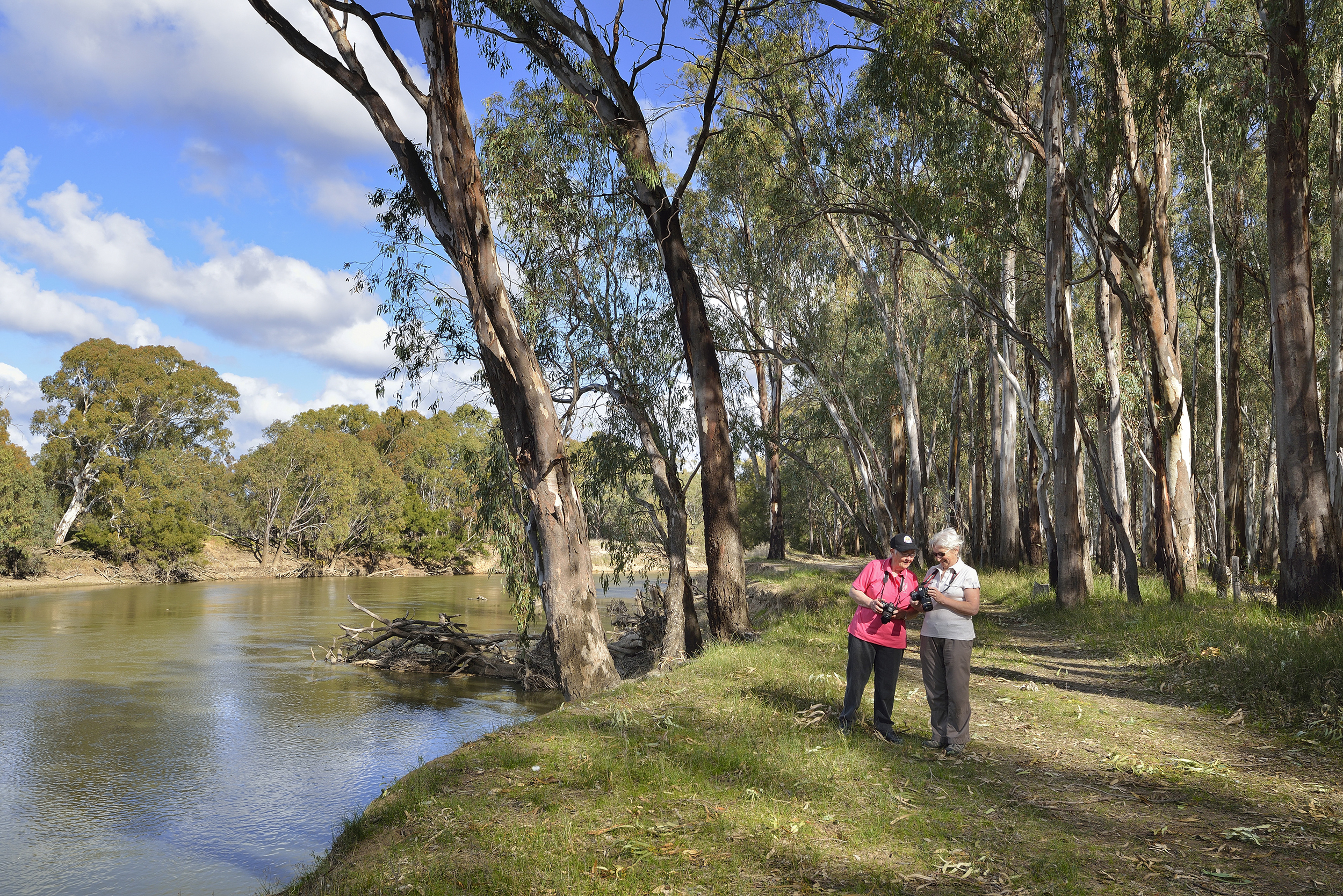 Turkey Flat walk and cycle track, Murrumbidgee Valley National Park. Photo credit: Gavin Hansford/DPIE
