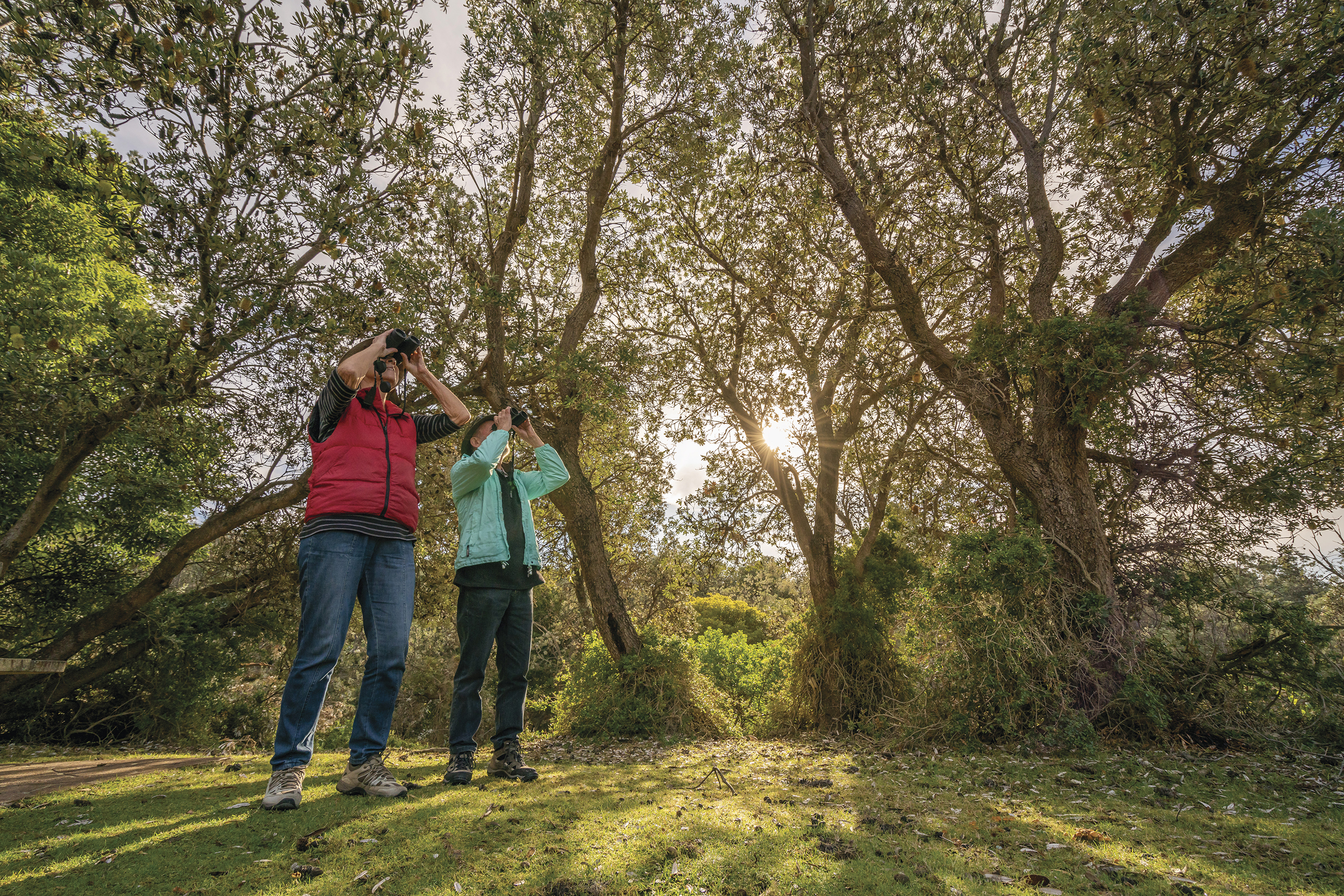 Two people birdwatching, Haycock picnic area, Beowa National Park. Photo credit: John Spencer/DPIE