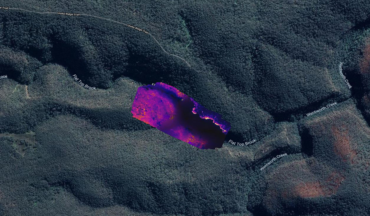 A series of thermal line scans stitched together to make one single thermal image then imposed into the area. Photo: Scott Colefax / DCCEEW  © Scott Colefax