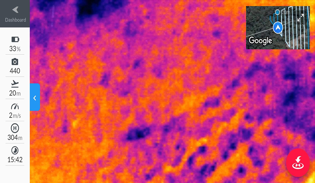 A thermal line scan screen shot of drone pilots screen. Photo: Scott Colefax / DCCEEW  © Scott Colefax