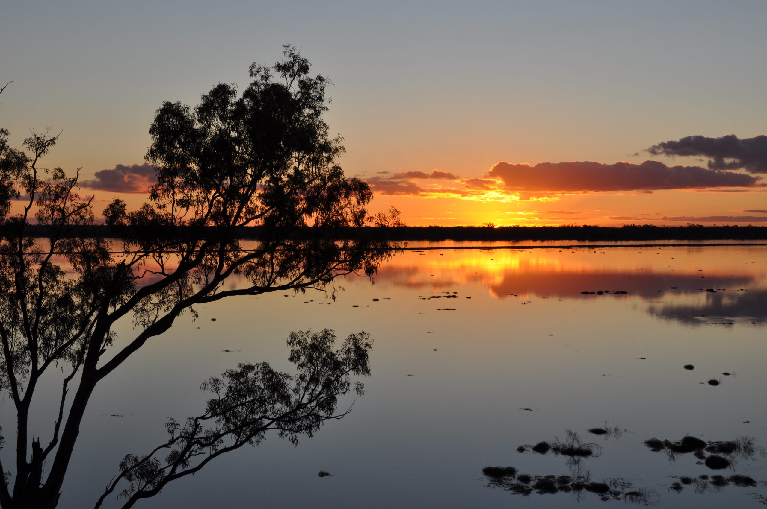 Tala Lake Lowbidgee floodplain. Photo credit : James Maguire/DPIE
