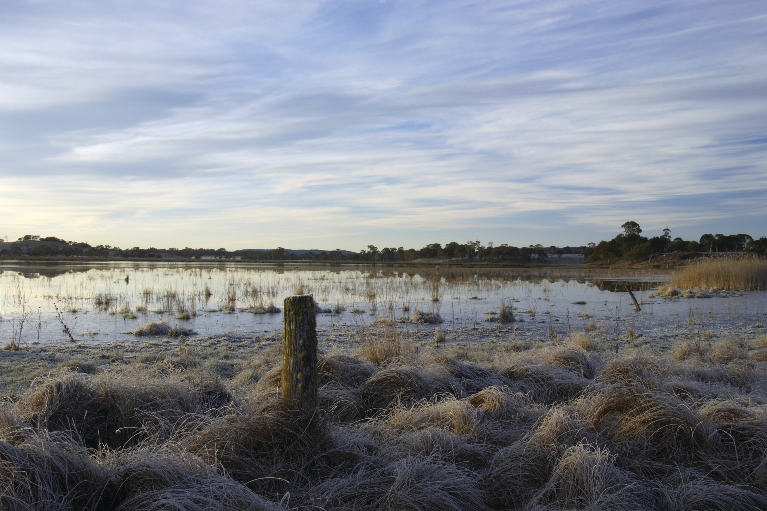 Little Llangothlin Nature Reserve, RAMSAR Site. Photo credit: Shane Ruming / DPIE