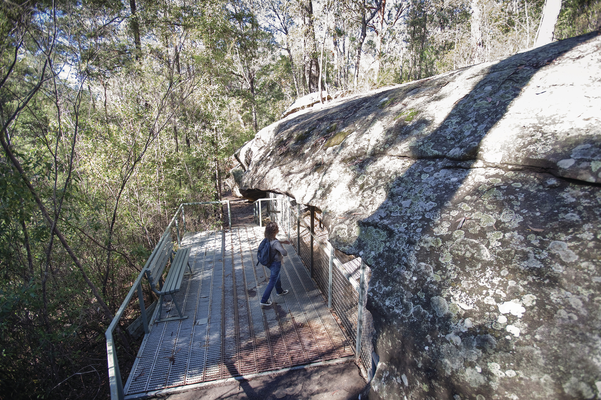 Red Hands Cave walking track, Blue Mountains National Park. Photo credit: Nick Cubbin/DPIE