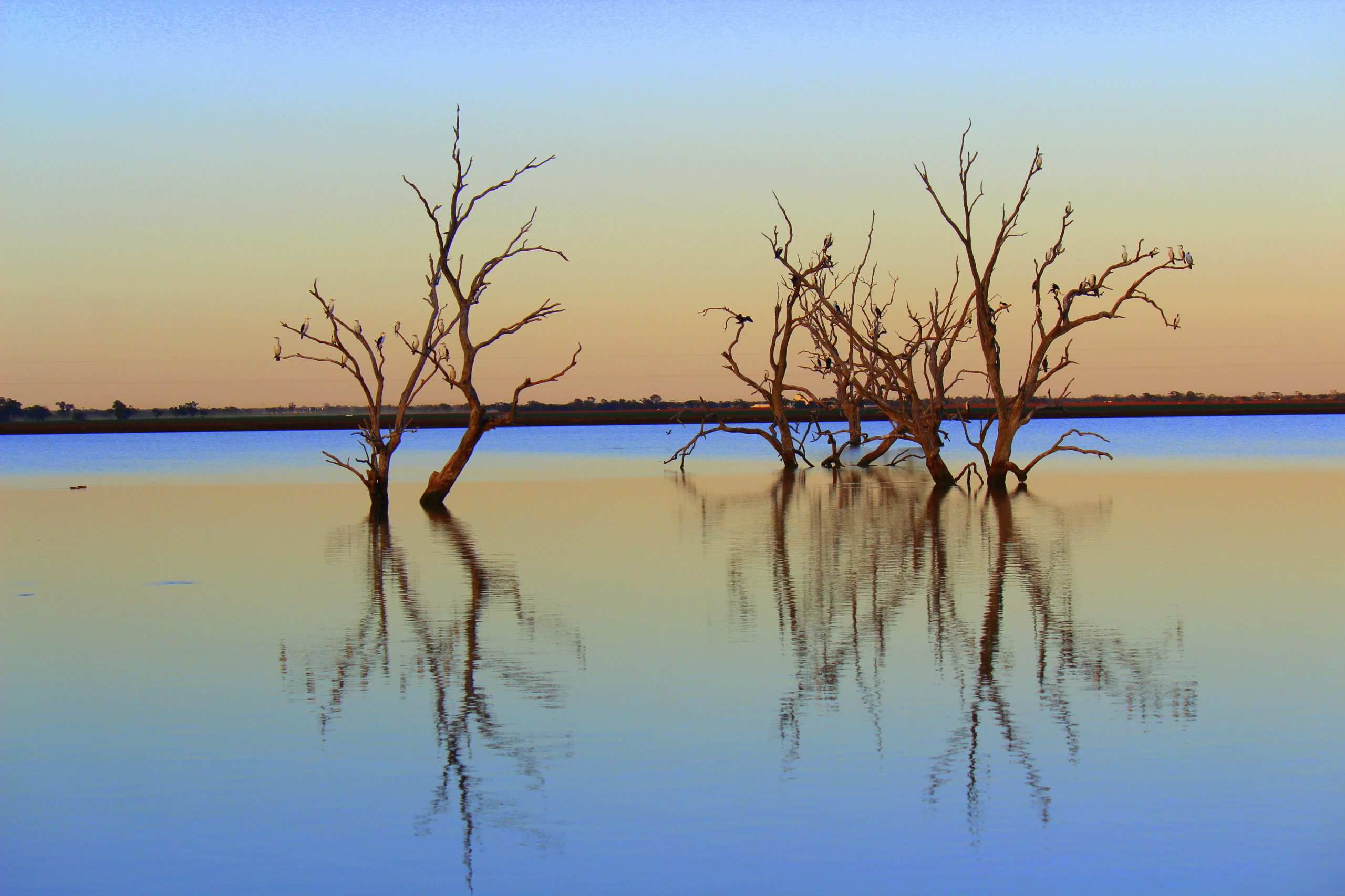 Wild about wetlands?