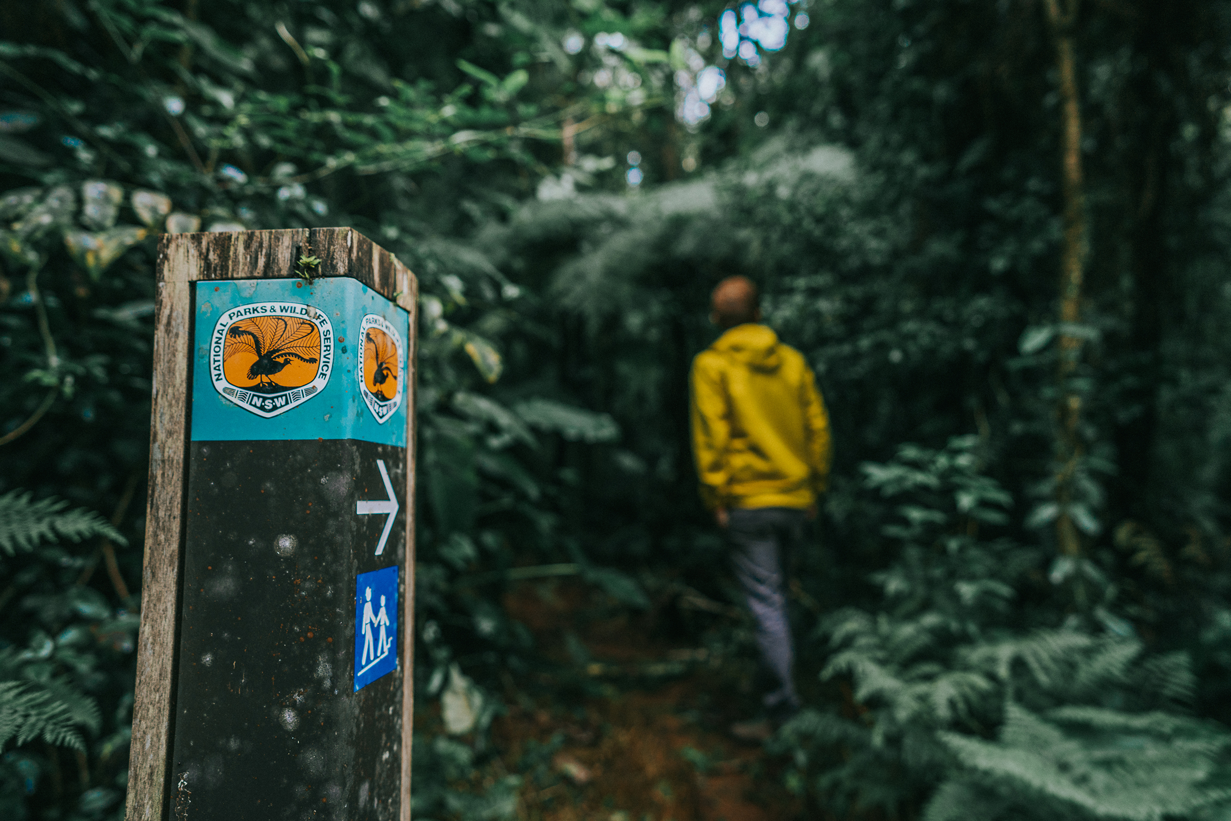 A person walking past a NSW National Parks track marker. Photo credit: Branden Bodman