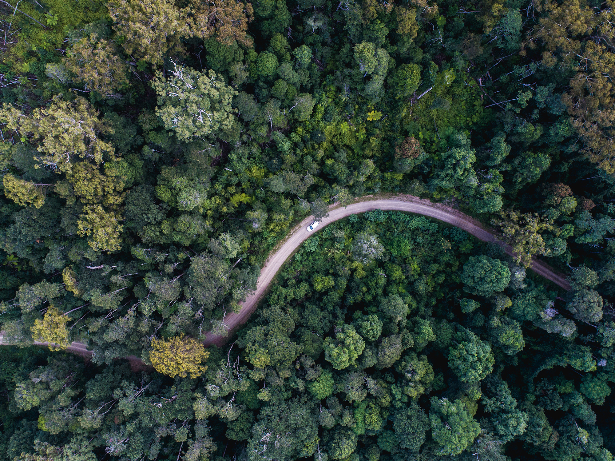 What’s a national park and why does it matter?