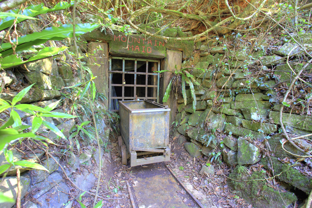Mountain Maid gold mine, Copeland Tops State Conservation Area. Photo credit: Brent Mailing / DPE