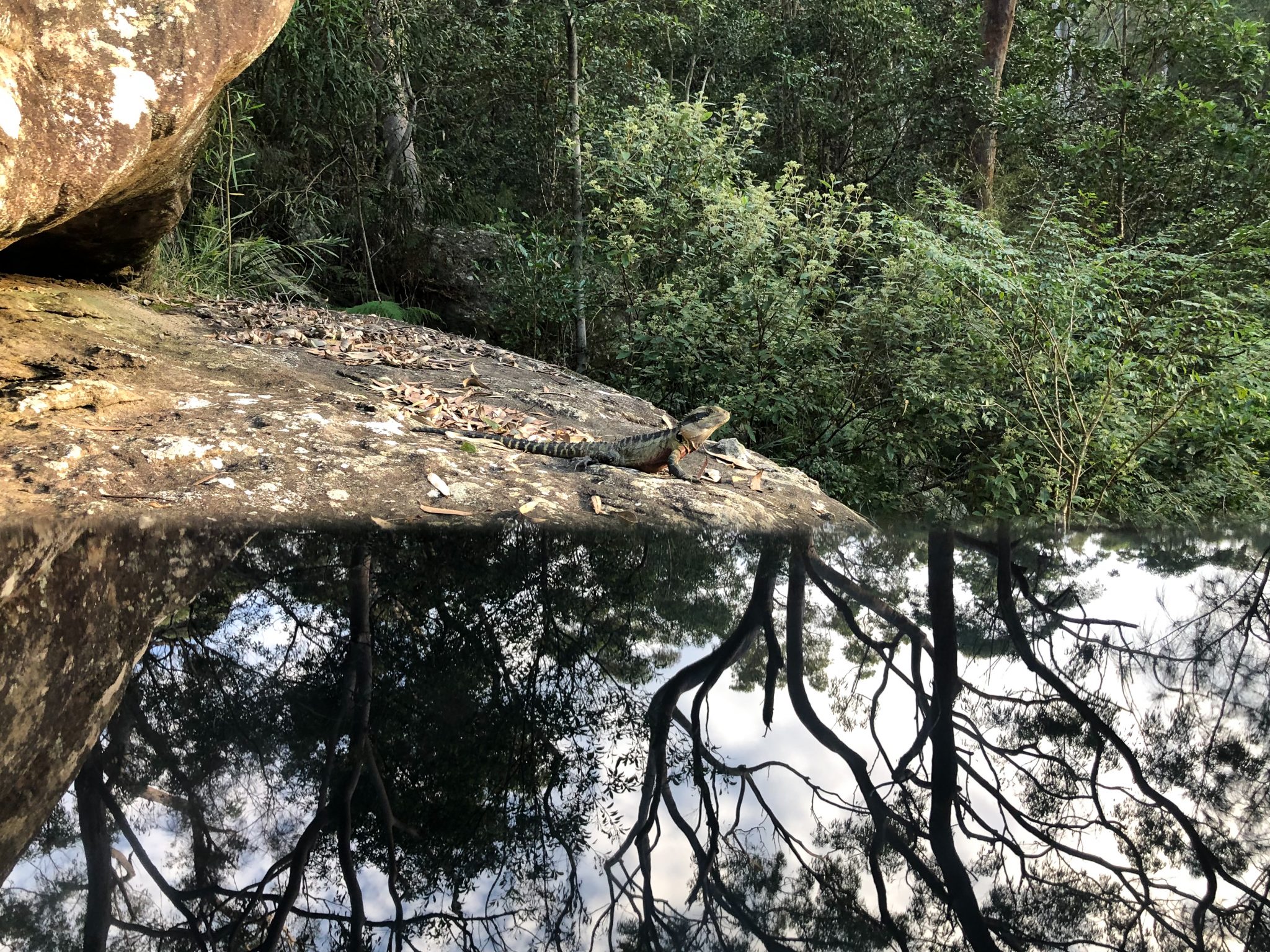 Unusual tricks to turn up your phone photography