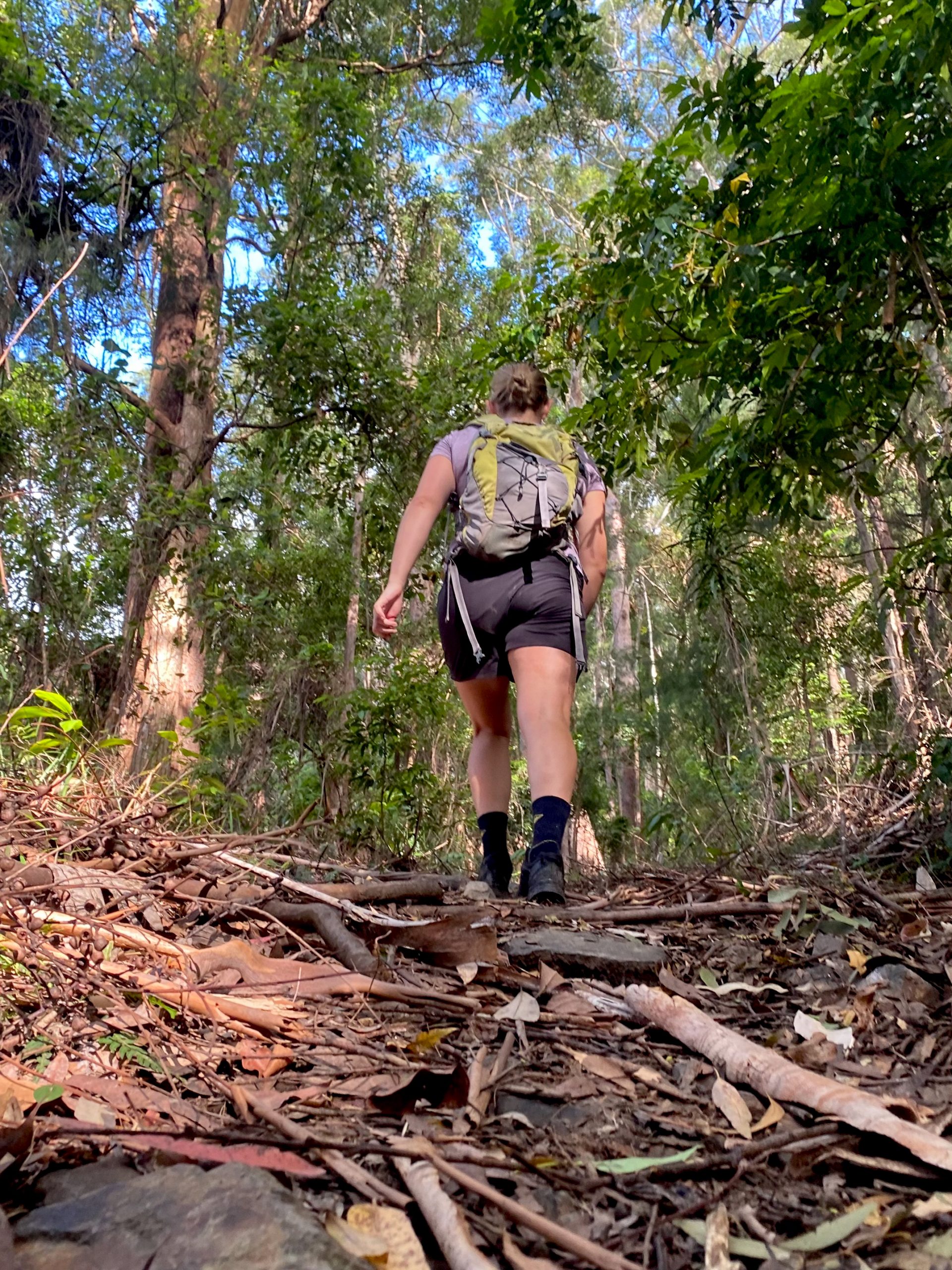 Point of view image from the ground up. Person from behind in a natonal park. Photo: © Tim Ashelford