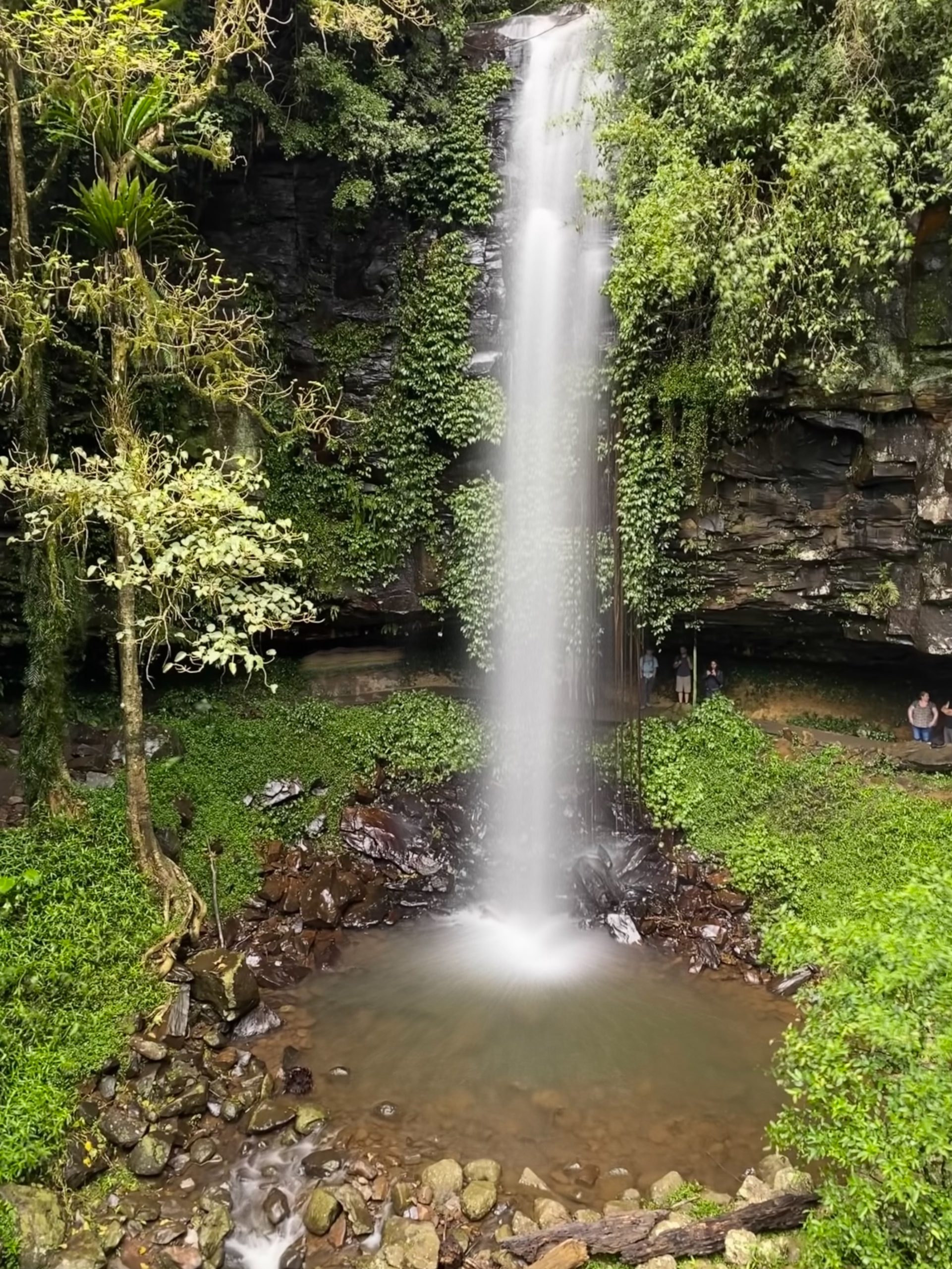 Waterfall using the Live Photo functionality in iphone to create long exposure. Photo: © Tim Ashelford