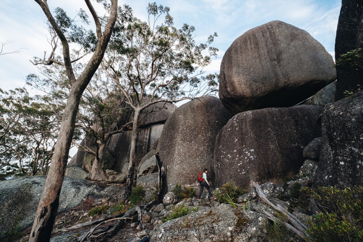 Walking along a track in Woollool Woolloolni Aboriginal Place. Photo credit: Harrison Candlin / DPE