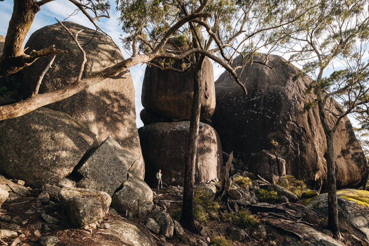 Person at Woollool Woolloolni Aboriginal Place, Basket Swamp National Park. Photo: Harrison Candlin / DCCEEW © Harrison Candlin