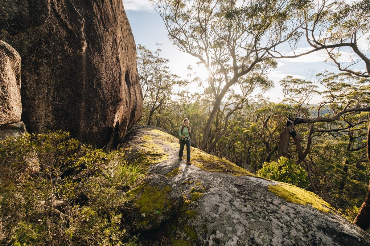 Walking along a track in Woollool Woolloolni Aboriginal Place. Photo: Harrison Candlin / DCCEEW © Harrison Candlin