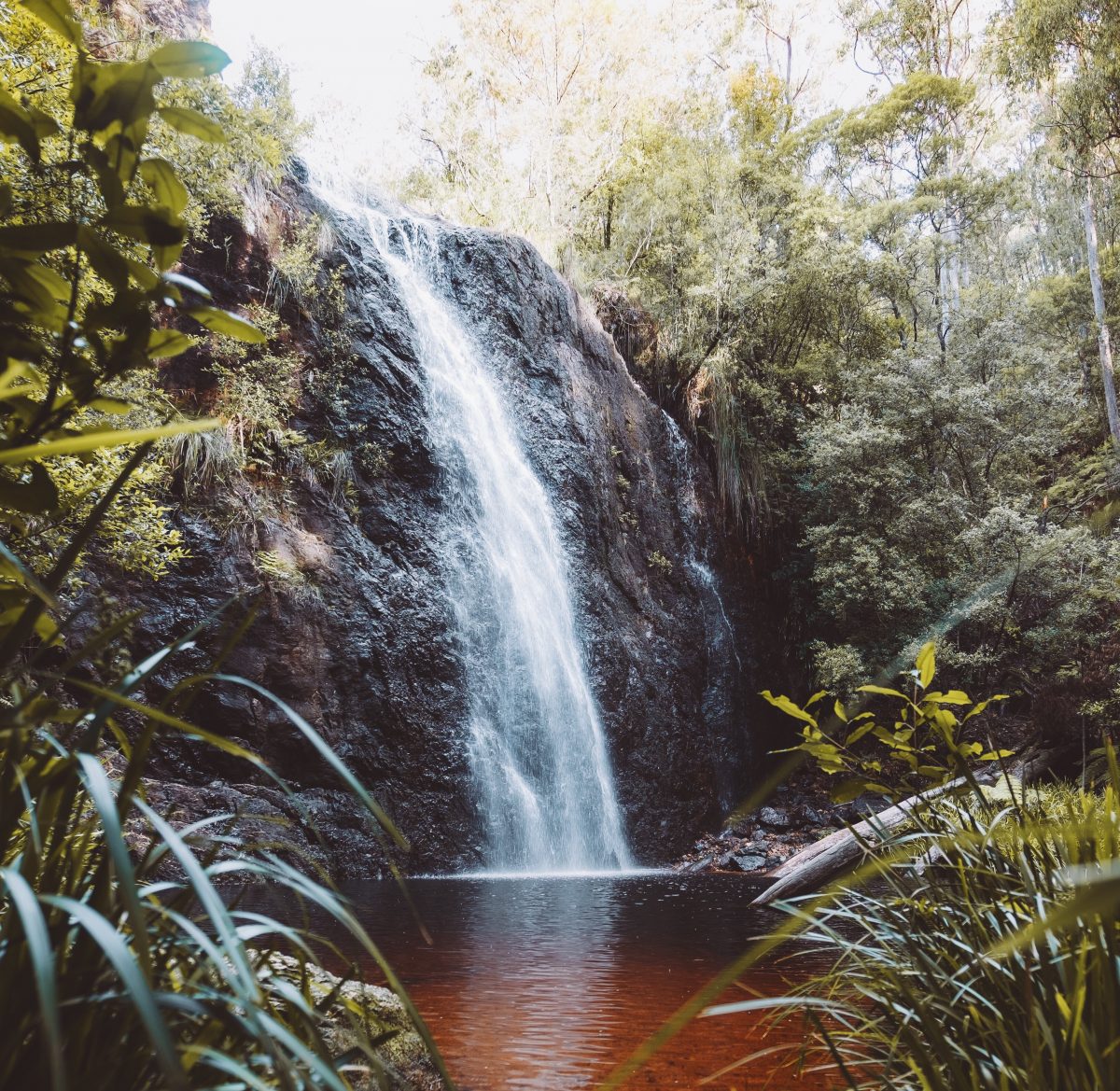 Boundary Falls. Photo: Harrison Candlin / DCCEEW © Harrison Candlin