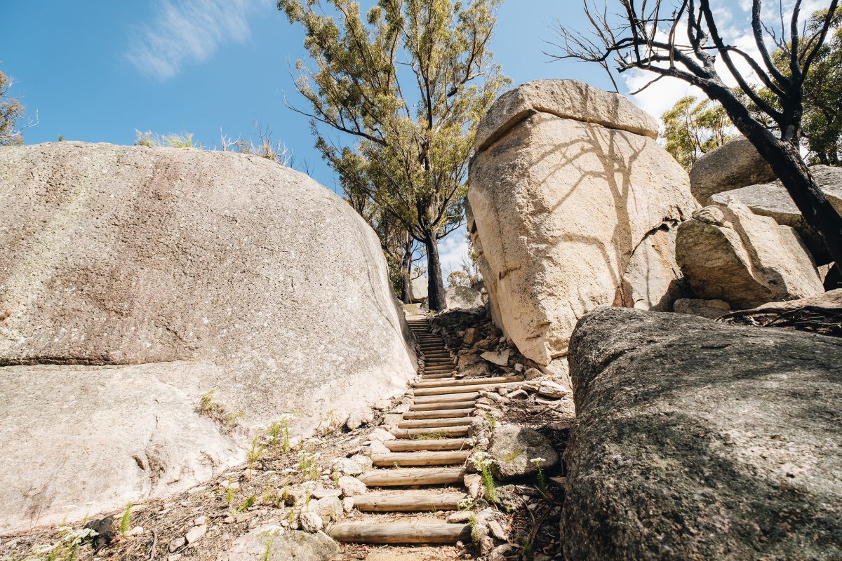 Thunderbolts lookout walking track. Photo: Harrison Candlin © Harrison Candlin / DPE