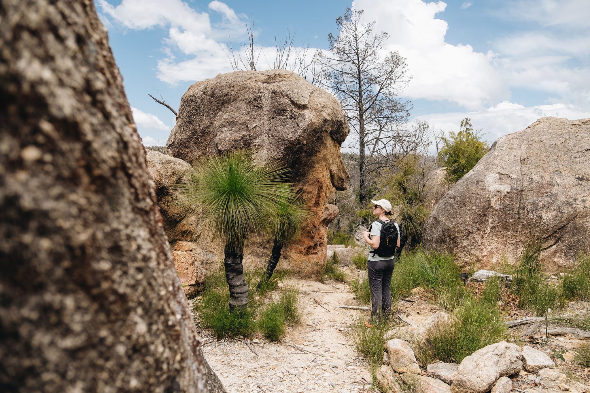 A person admiring a granite formation that looks like a face. Photo credit: Harrison Candlin / DPE