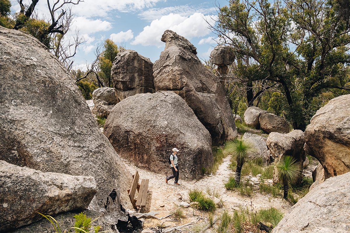 A person walking along Mystery Face walking track. Photo credit: Harrison Candlin / DPE
