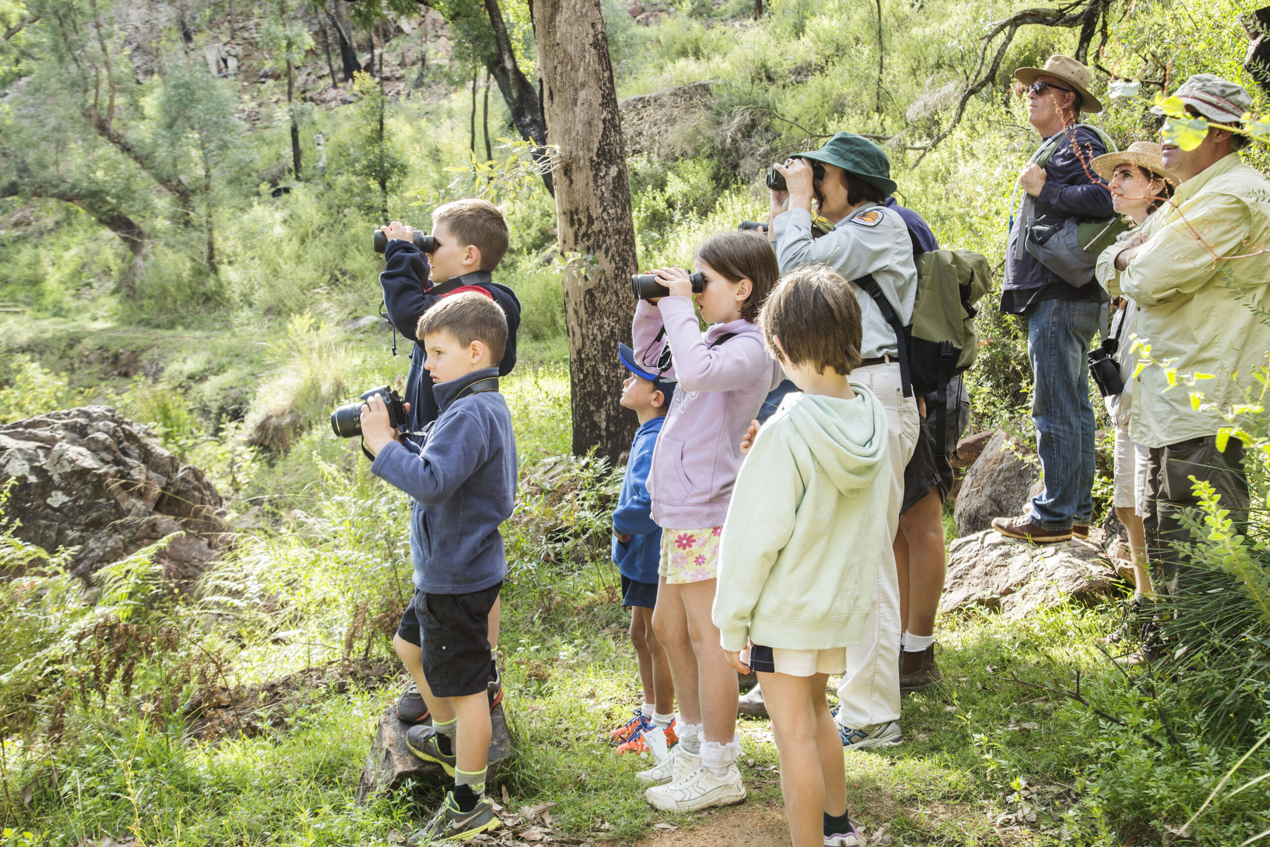 A group of kids looking for birdlife on a tour in Warrumbungle National Park.
