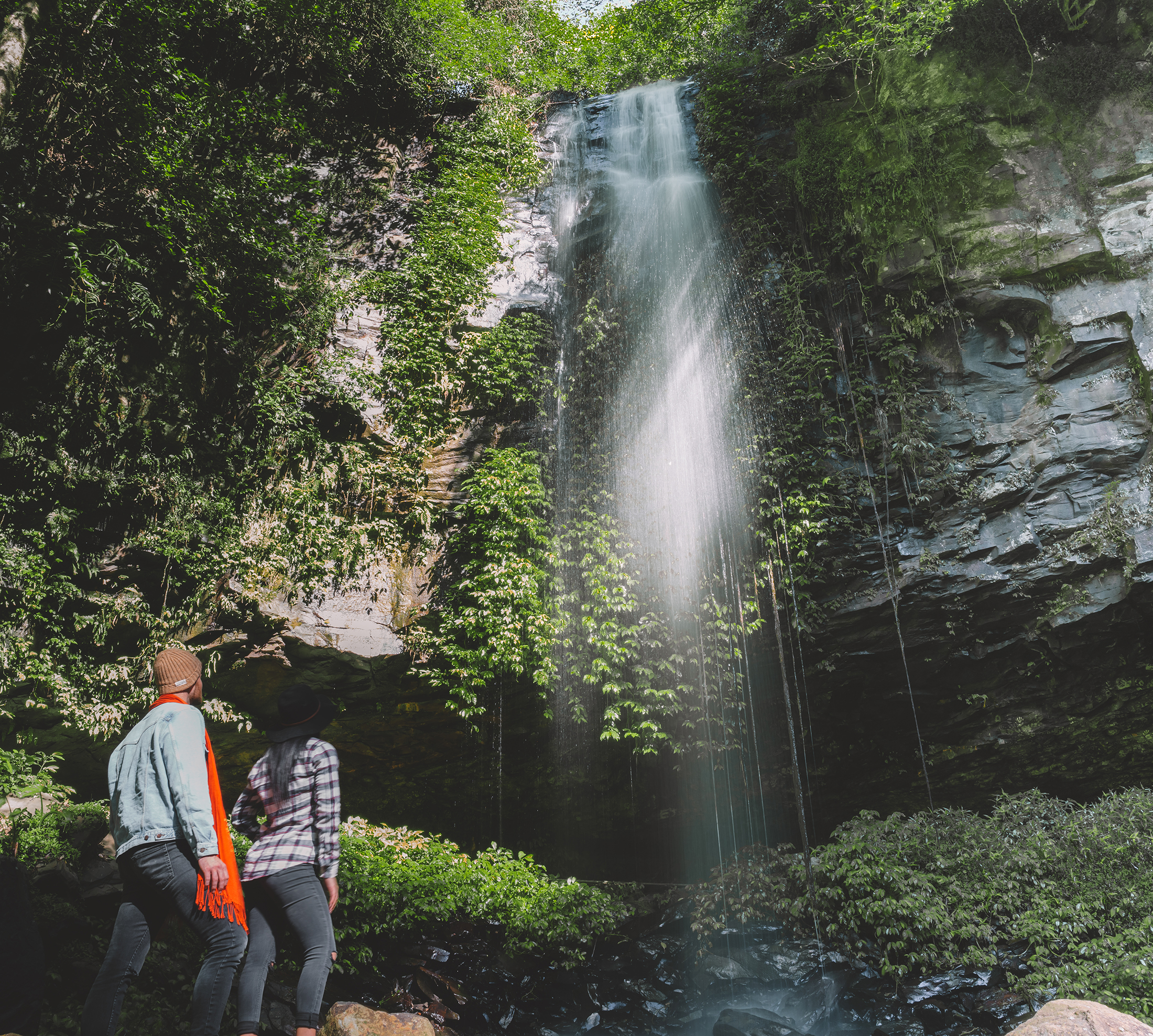 Two people looking up at a waterfall in Dorrigo National Park. Photo credit: Branden Bodman / DCCEEW © Studio Bilby