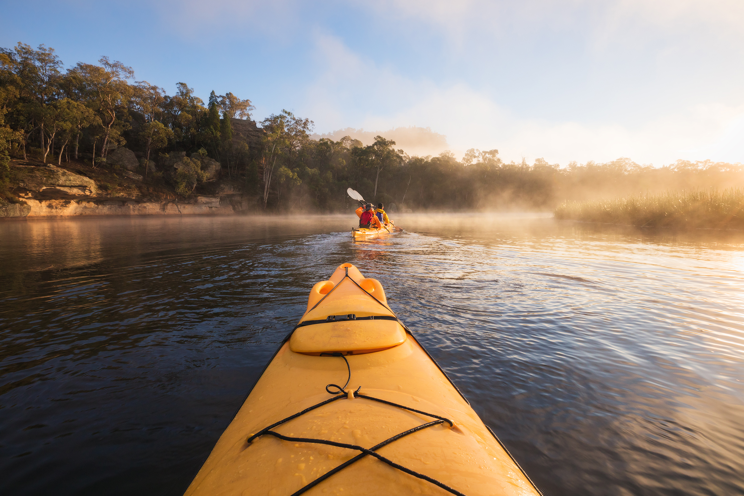 Kayaking in Ganguddy-Dunns Swamp, Wollemi National Park. Photo credit: Daniel Tran / DCCEEW © Studio Bilby