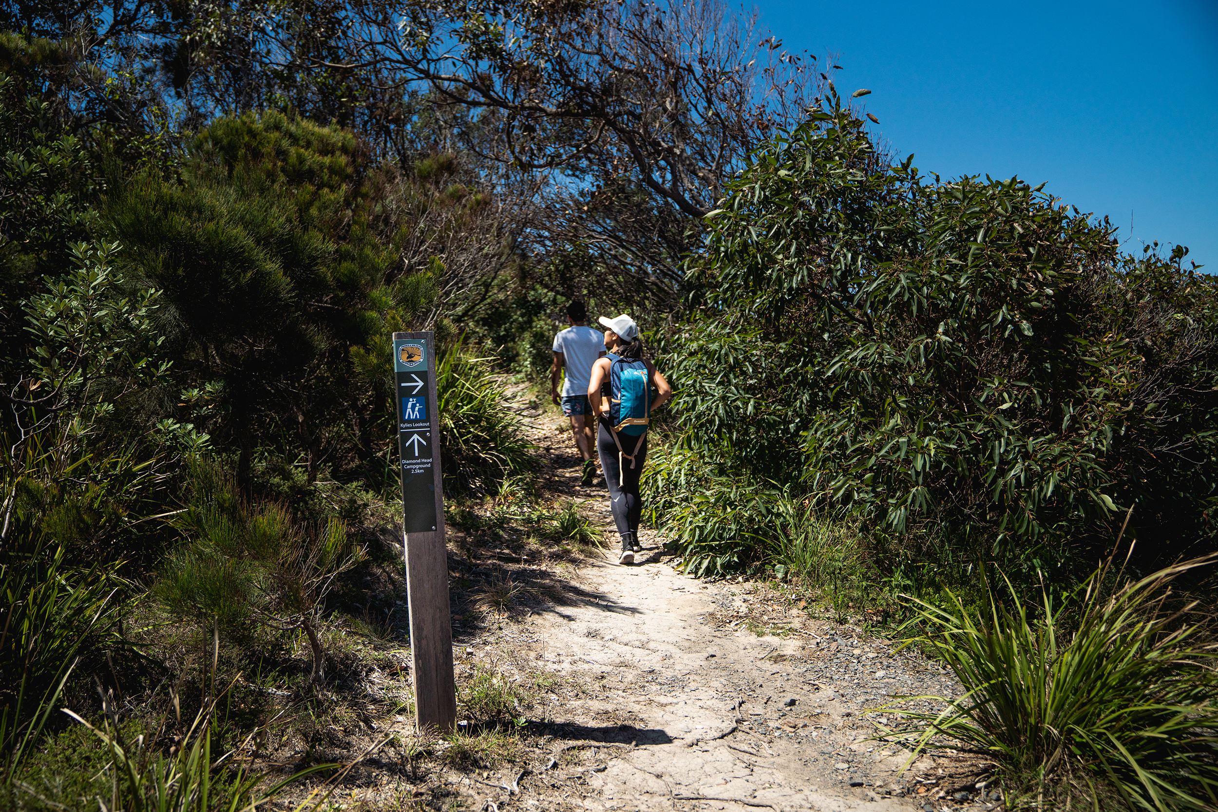 Two people walking on Diamond Head loop walking track, Crowdy Bay National Park. Photo credit: Rob Mulally / DCCEEW © Studio Bilby