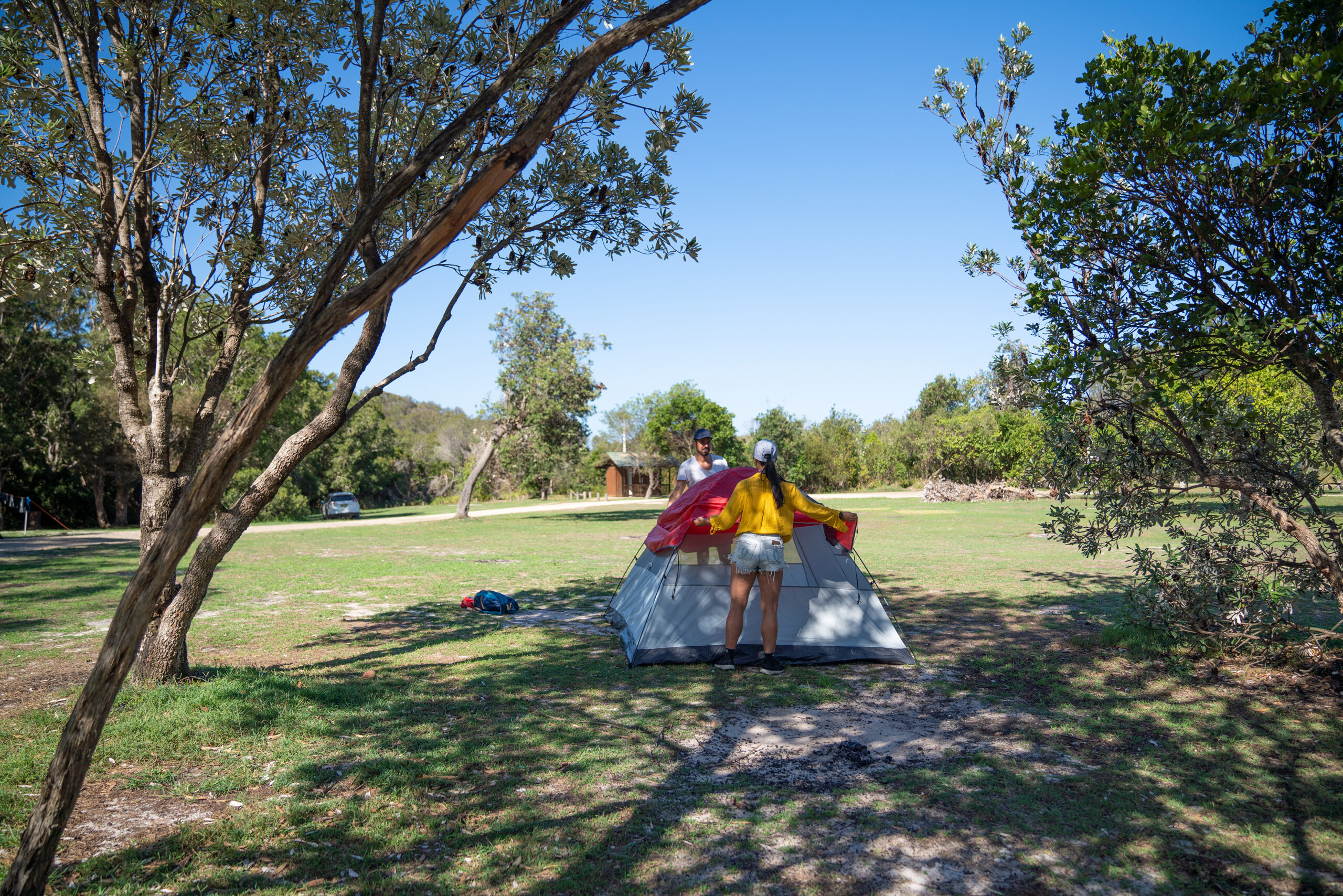 Two people setting up a tent in Kylies Beach campground. Photo credit: Rob Mulally / DCCEEW © Studio Bilby