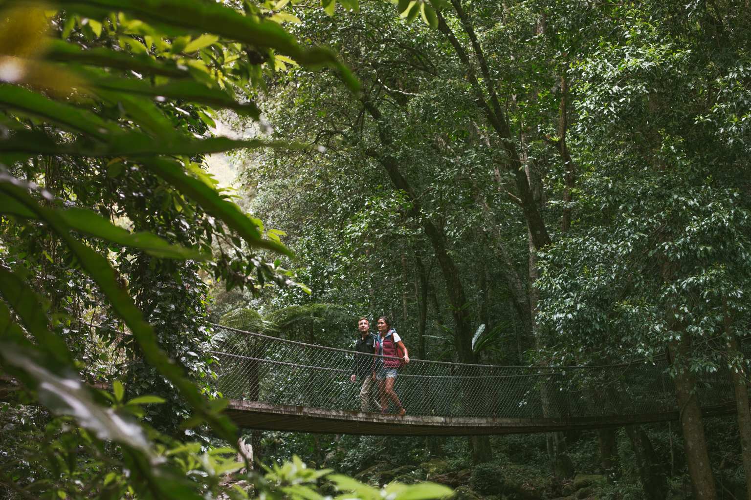 Two people walking over a bridge in Morton National Park. Photo credit : Tim Clark / DPE