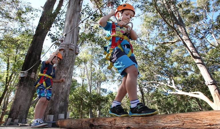 Children crossing the wobbly bridge at Treetops Newcastle. Photo: © Michelle Baker