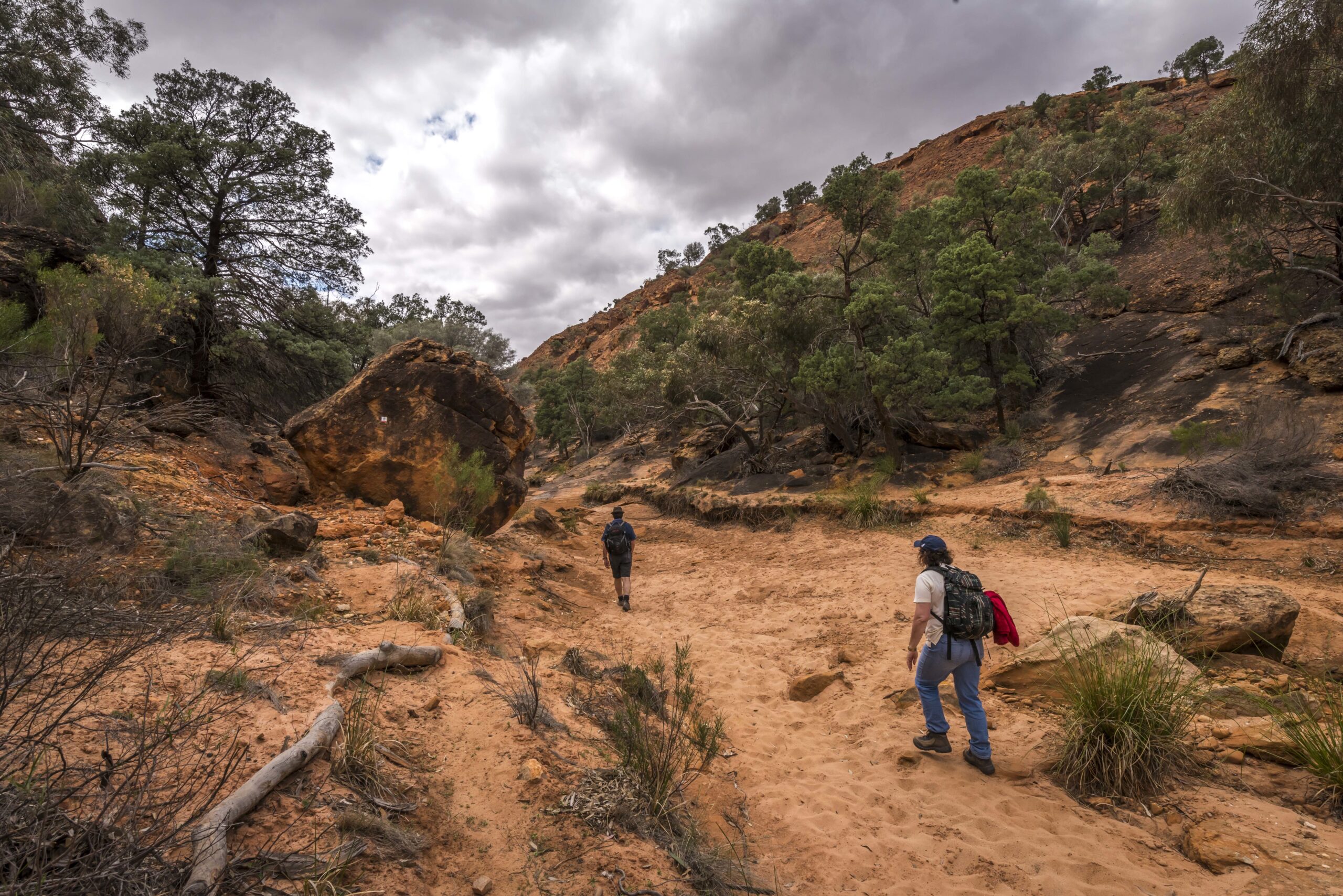Homestead Gorge trail, Mutawintji National Park. Photo credit: John Spencer / DPE