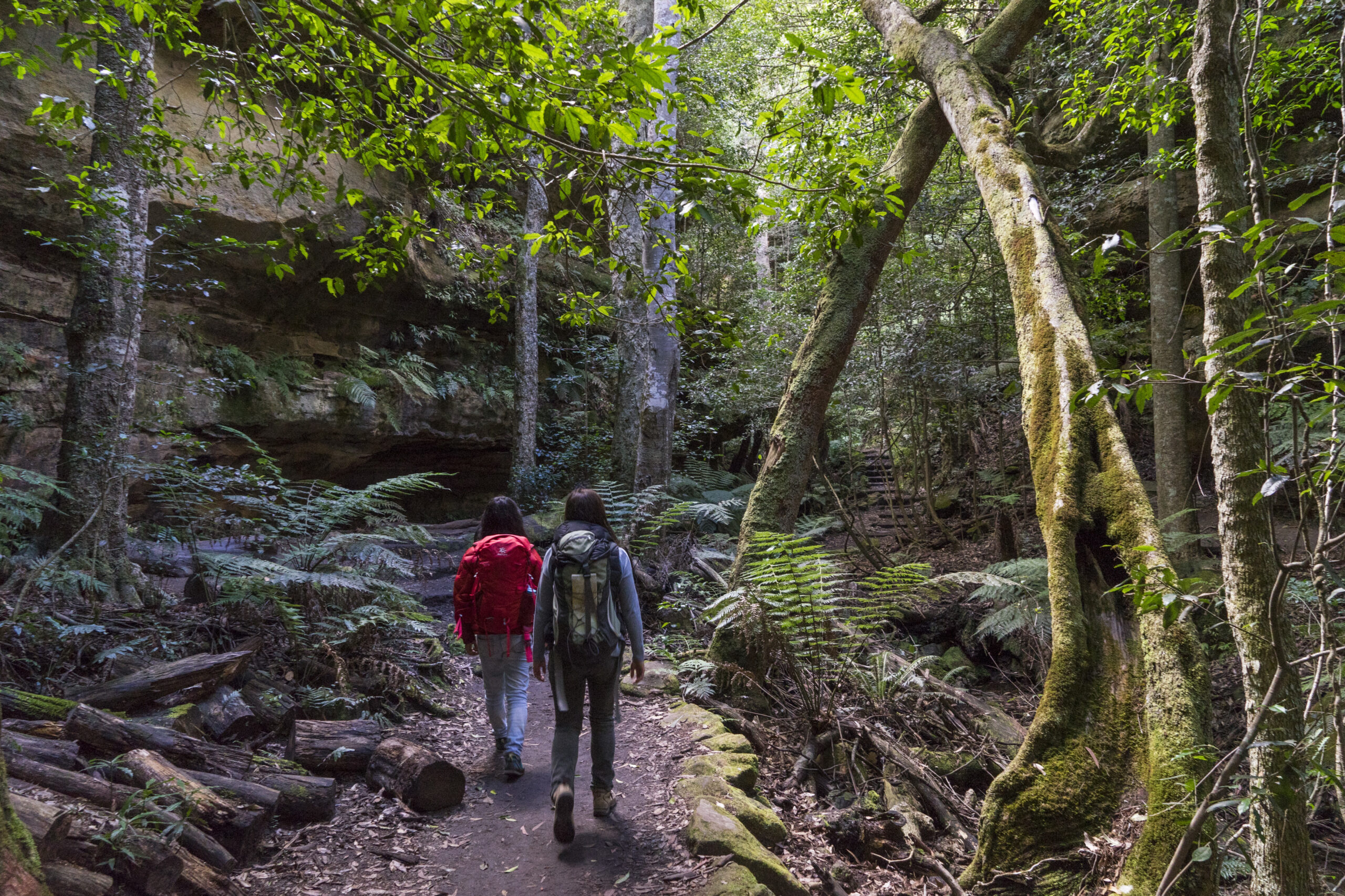 Two people walking Grand Canyon track, Blue Mountains National Park. Photo credit: Simone Cottrell / DPE
