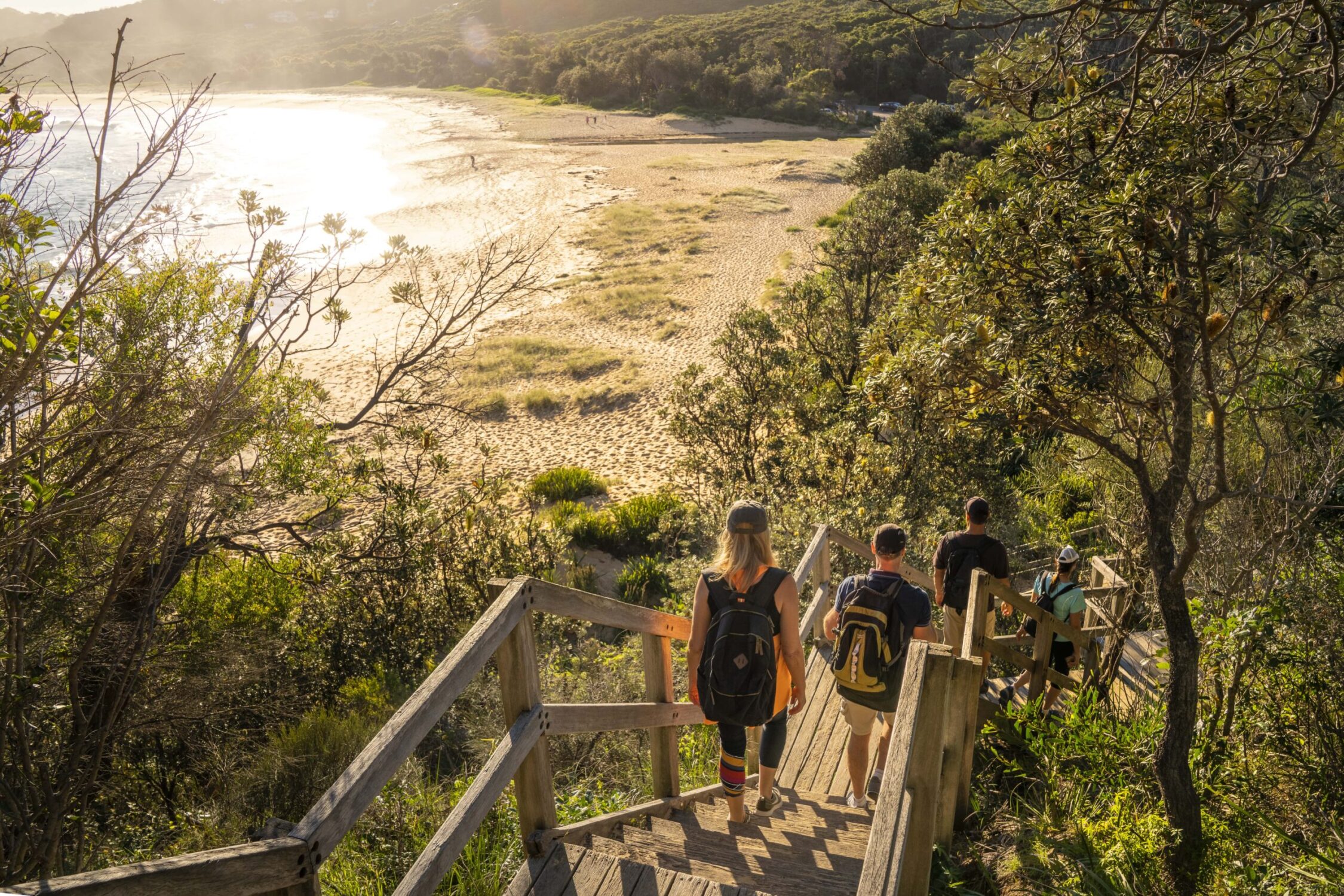 Sound like a botanist on your next bushwalk with this plant lingo