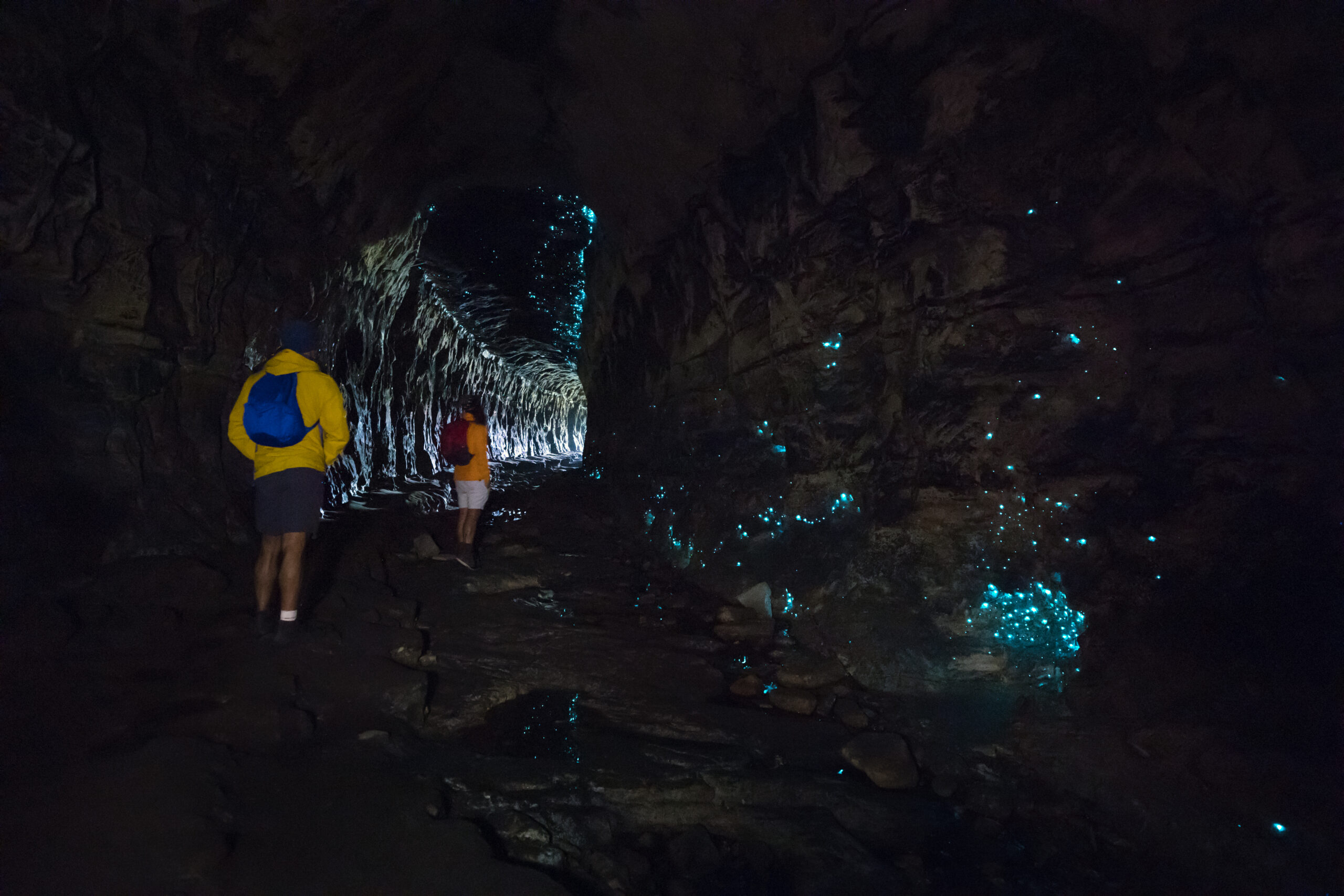 Two people exploring glow-worm cave. Photo credit: Daniel Tran / DCCEEW © Studio Bilby