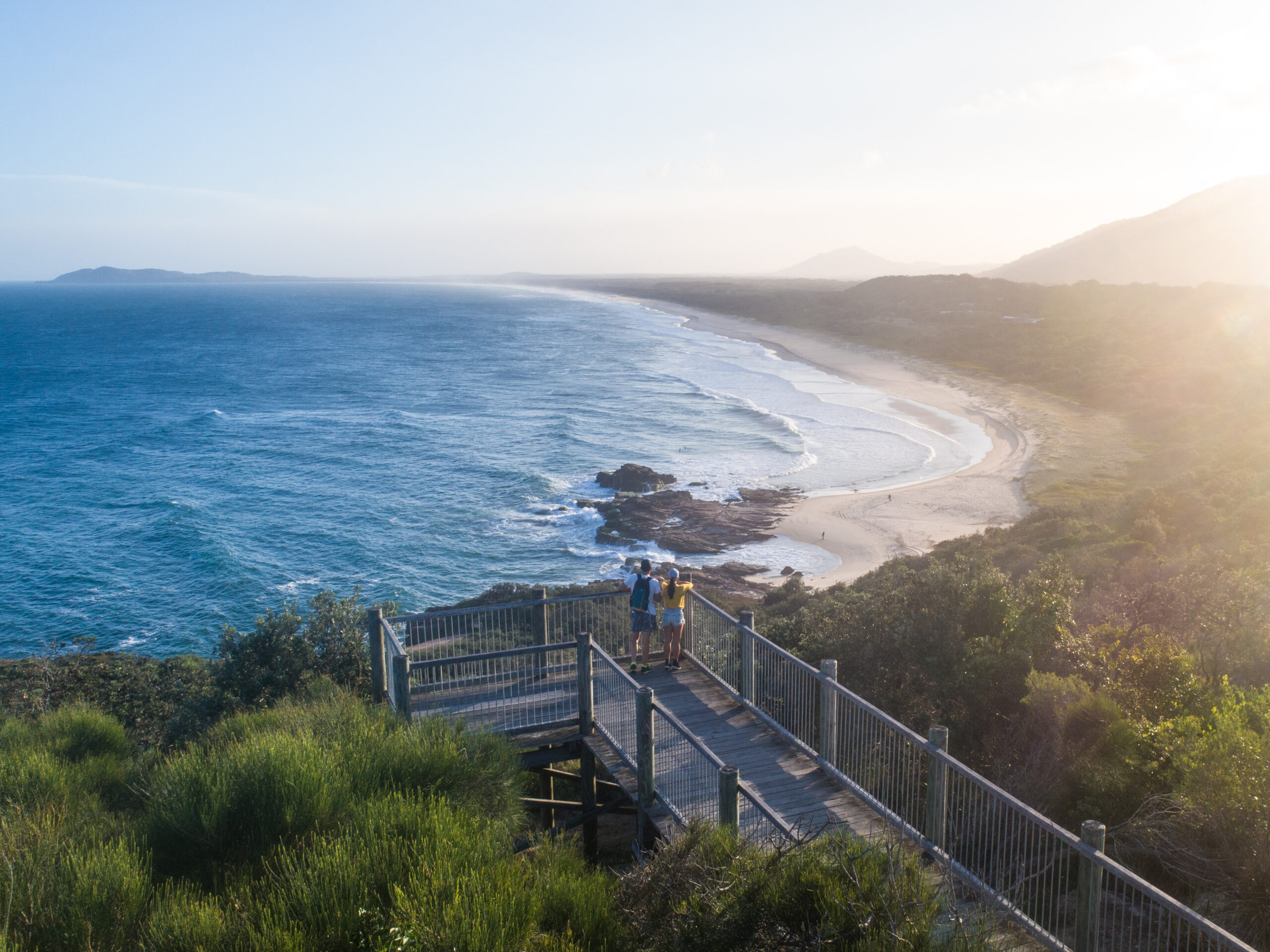 A guide to spotting wildlife in NSW national parks