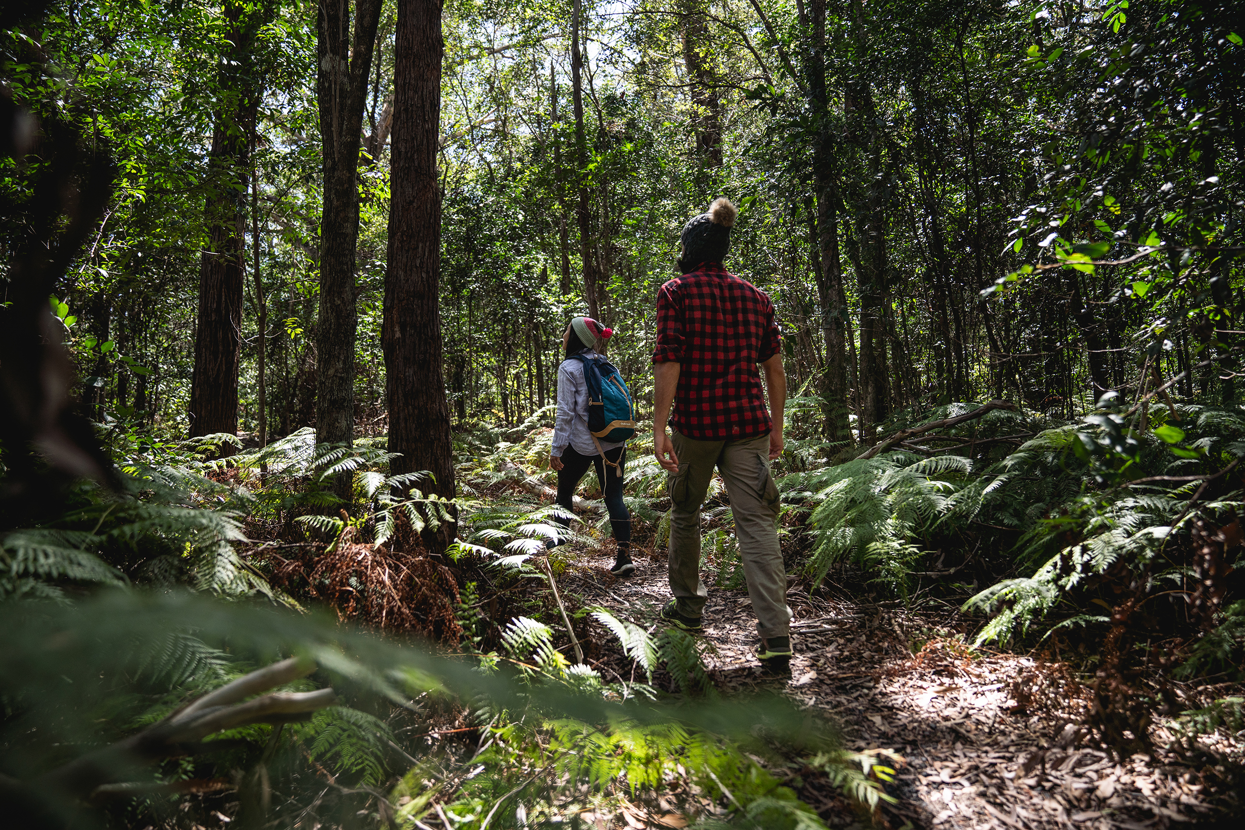 Two people walking on Diamond Head loop walking track, Crowdy Bay National Park. Photo: Mulally / DCCEEW © Studio Bilby