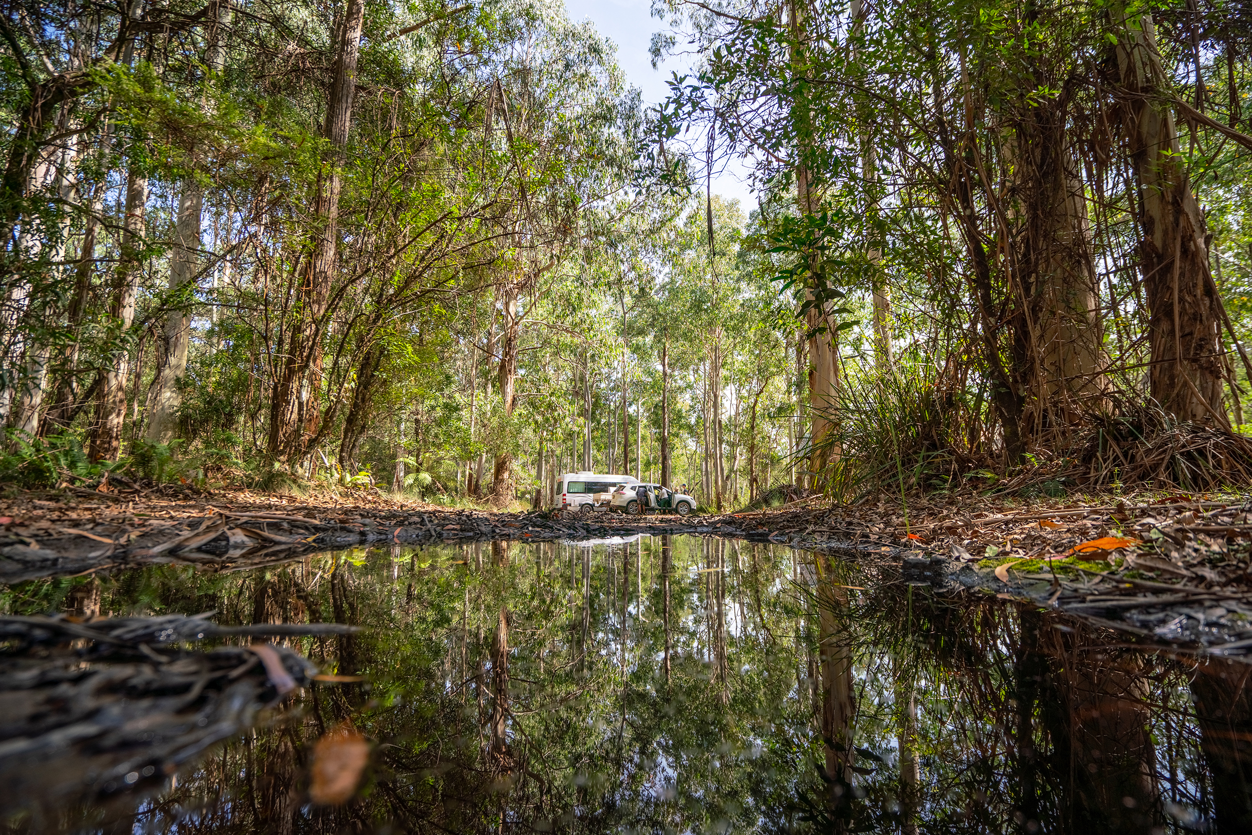 Brushy Mountain Campground. Photo credit: Rob Mulally / DCCEEW © Studio Bilby
